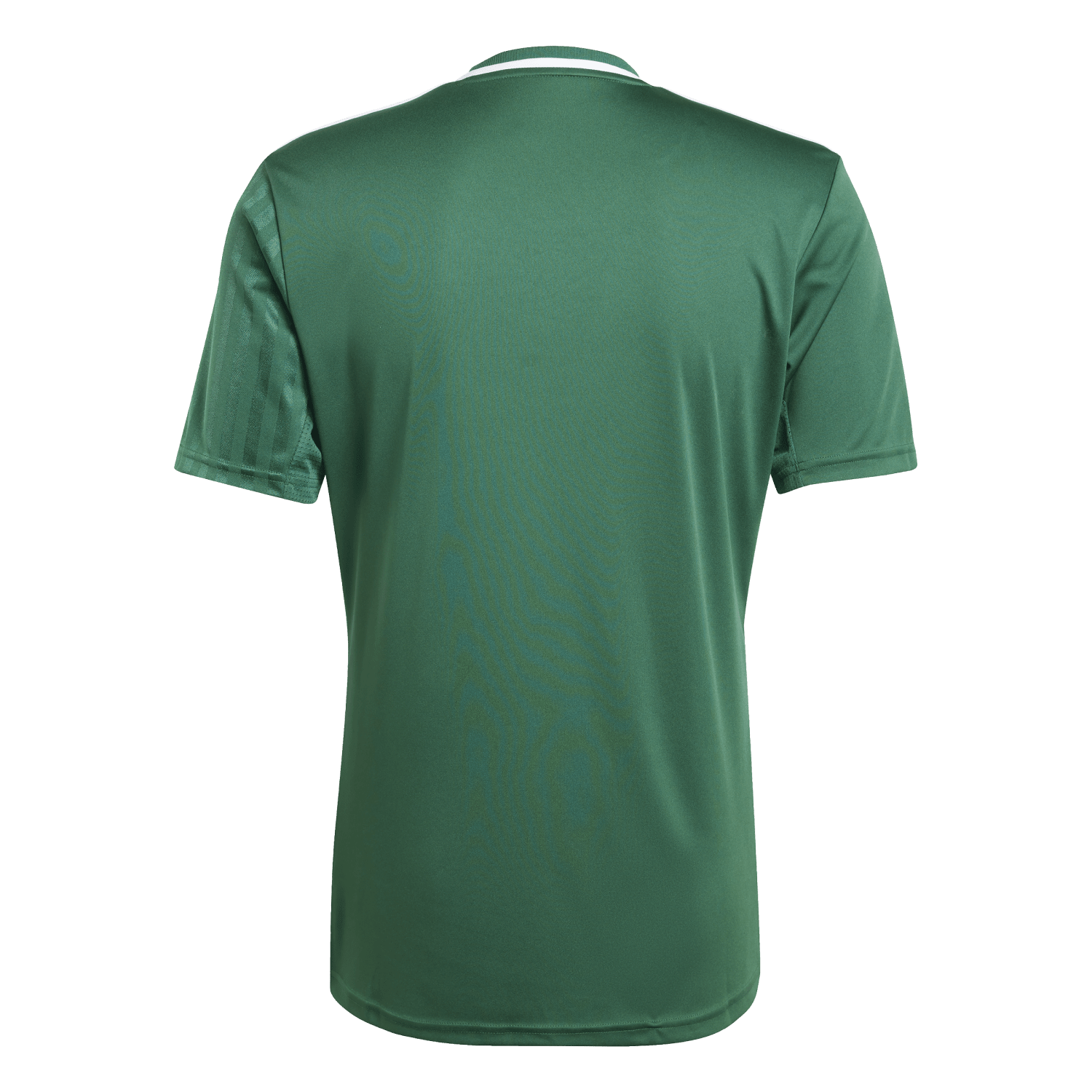 adidas Campeon 25 Jersey - Green、mySite、noshort