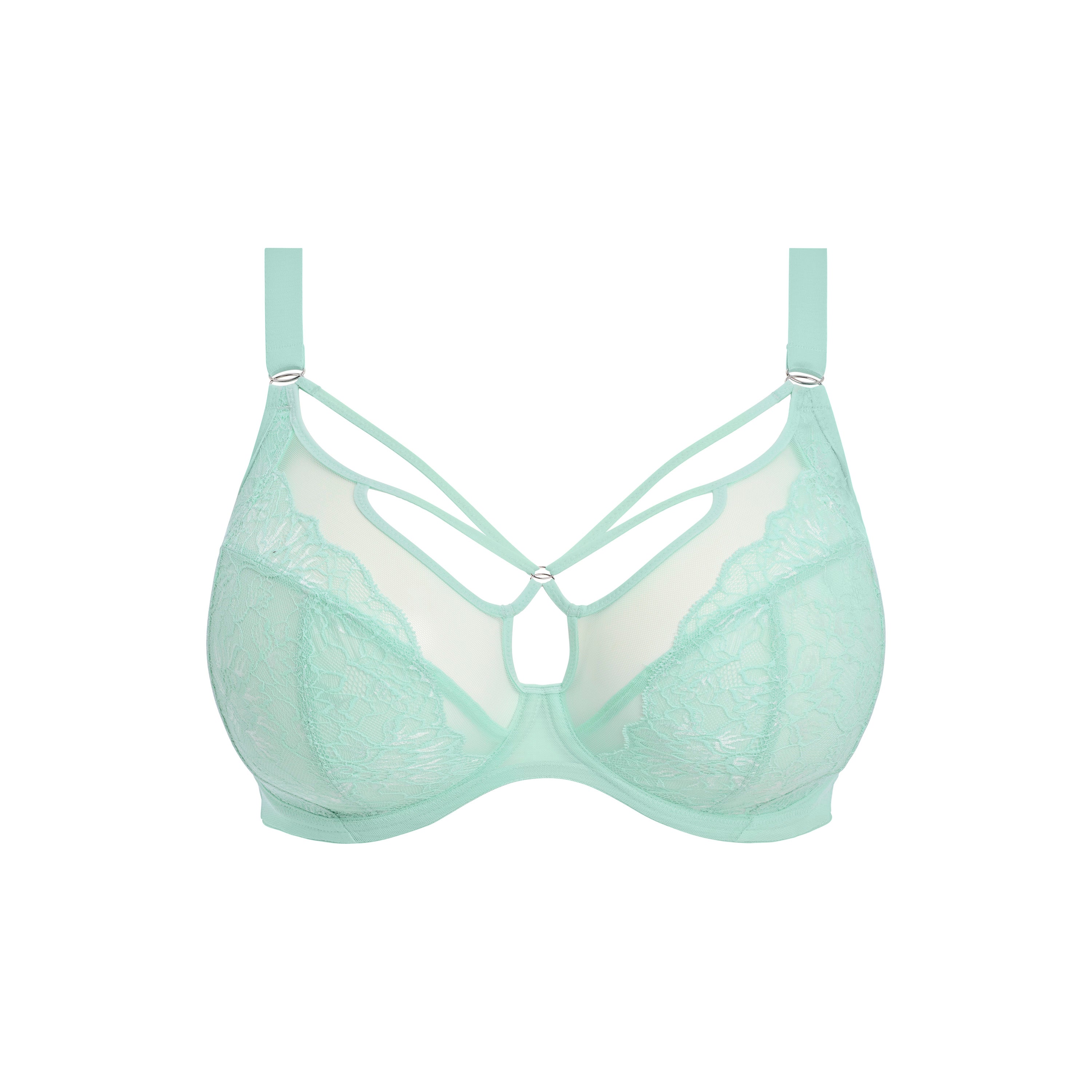  Brianna plunge Frozen、mySite、sugarbowlscore