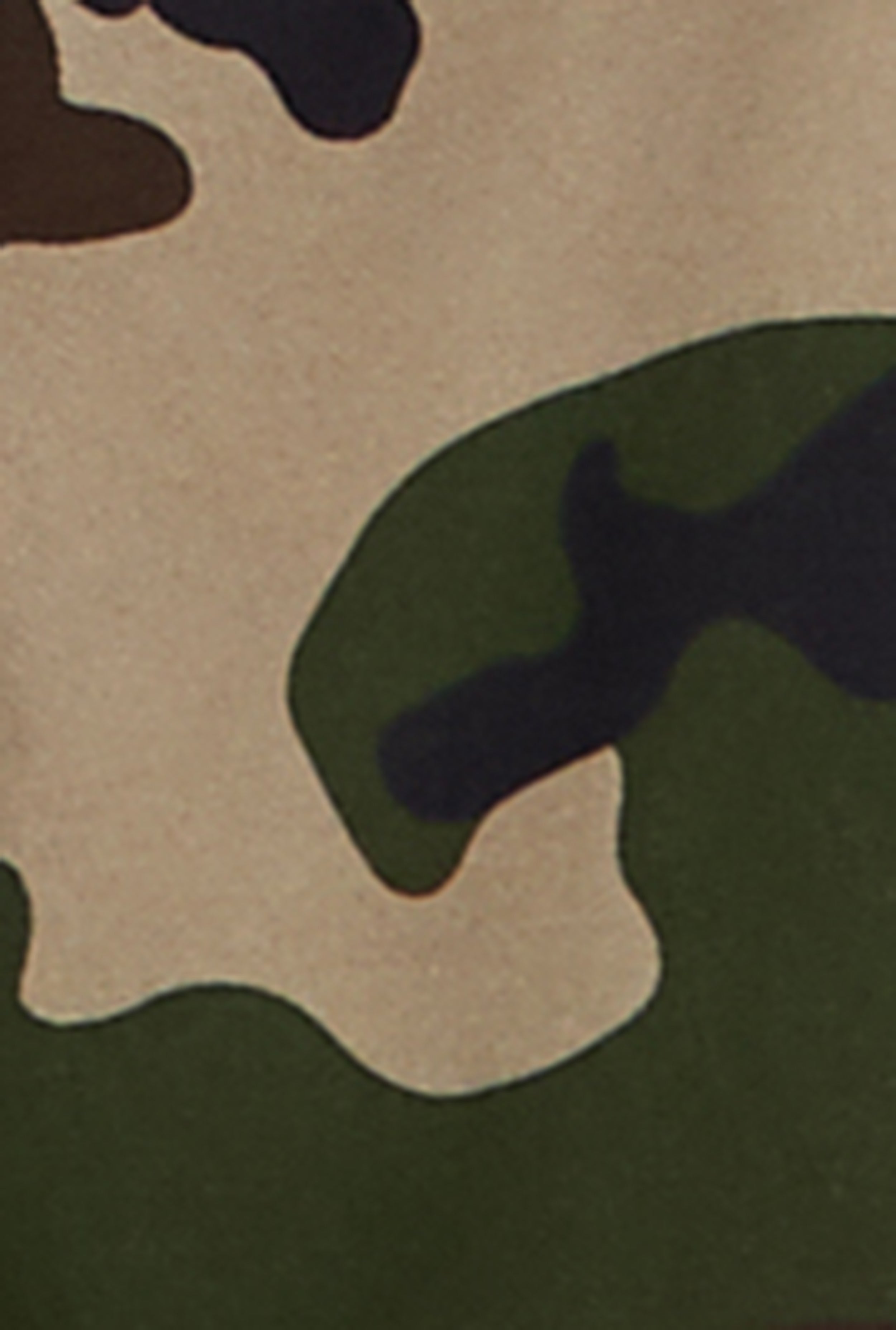 Plus Size Almost Famous Twill Camo Pants、mySite、camillekostekn