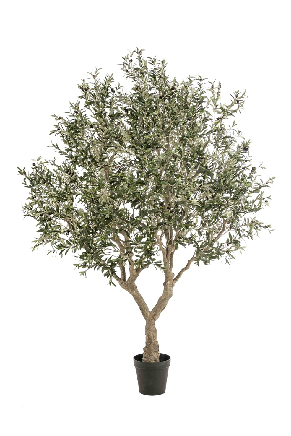 Faux Mediterranean Evergreen Tree | Emerald Olive、mySite、neckold