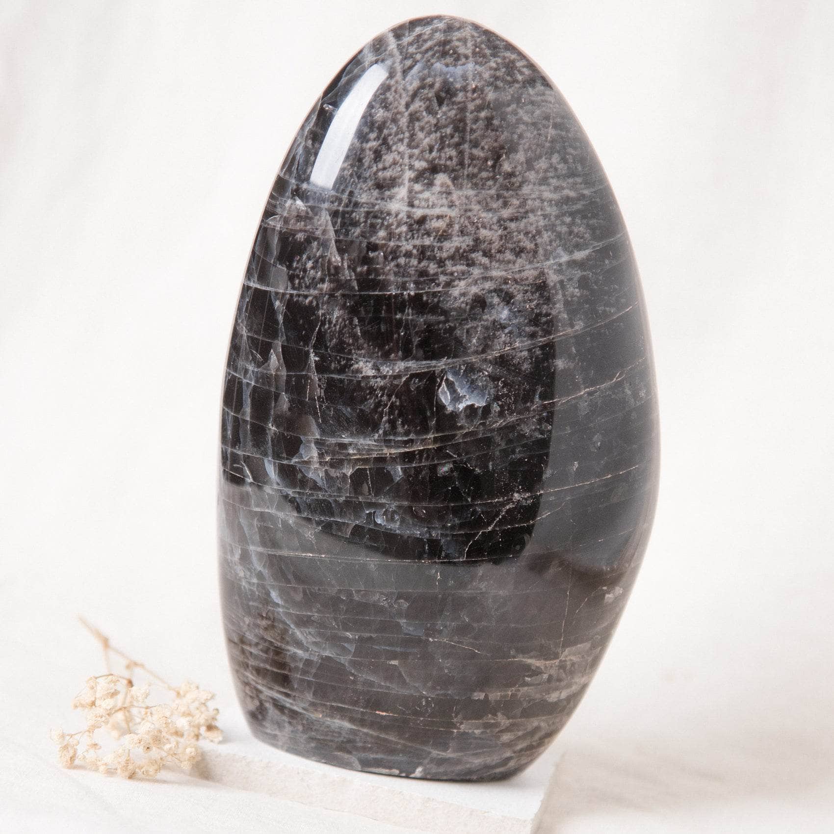 Black Moonstone Freeform - AAA Premium Quality、mySite、hinf8tx79