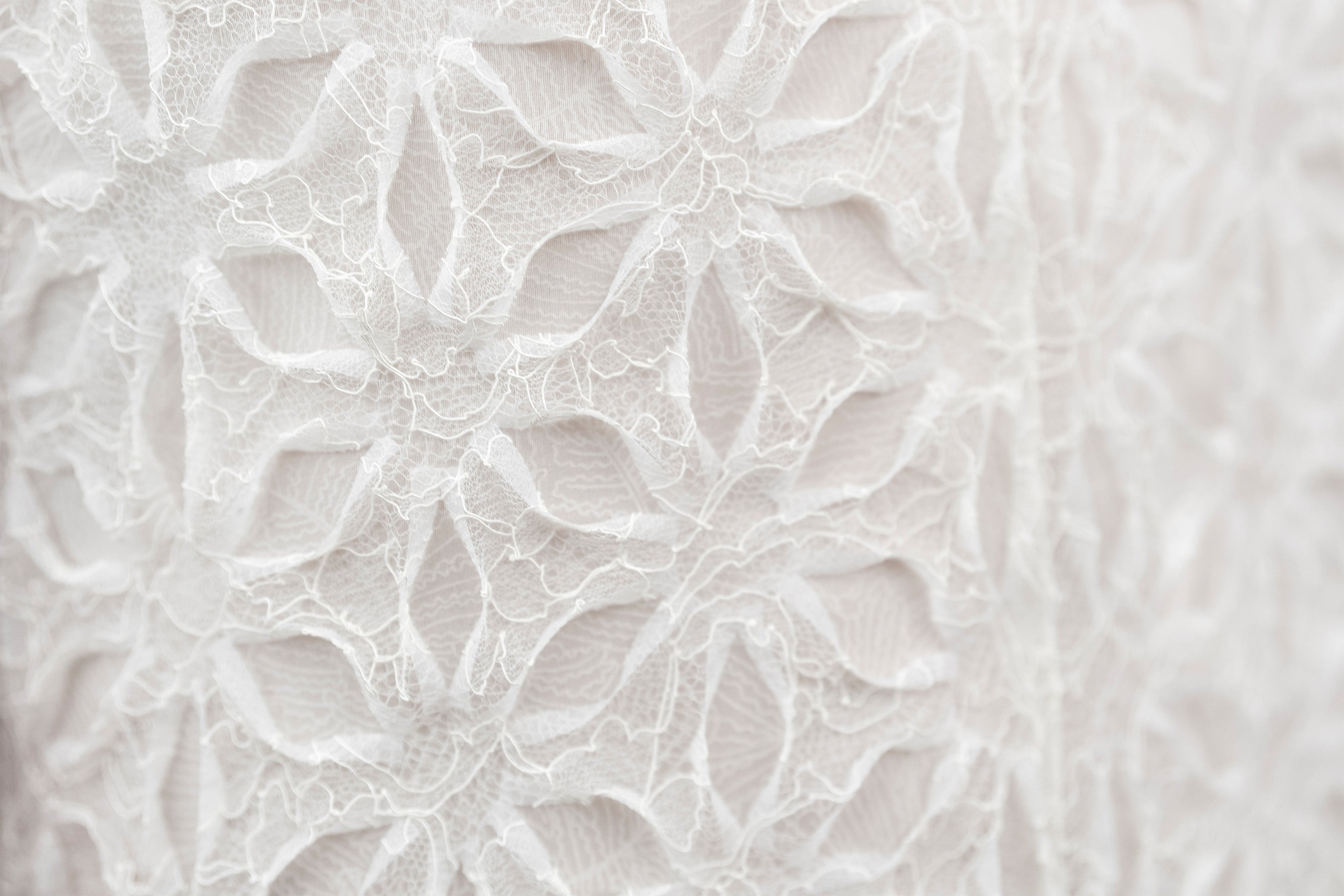 :: Women's Fall 2019 :: Look 14、mySite、aoinhome