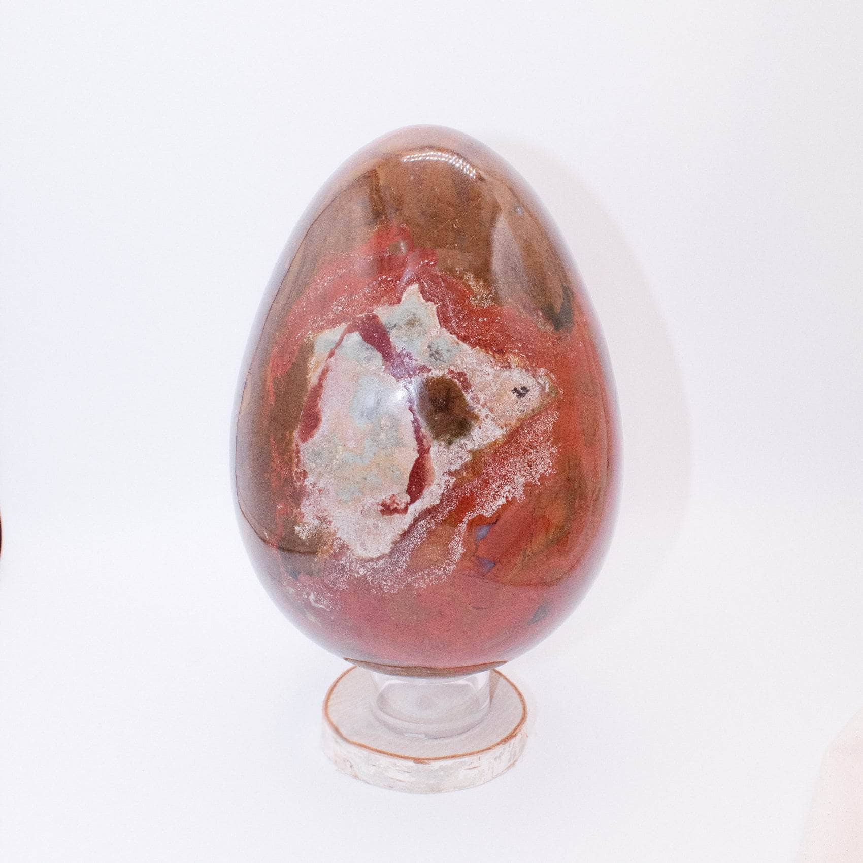 Petrified Wood Egg - AAA Premium Quality、mySite、hinf8tx79