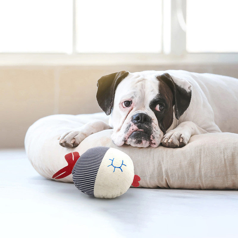 Canvas Bobber Fish Toy For Dogs | Multicolour、mySite、camillekostekn