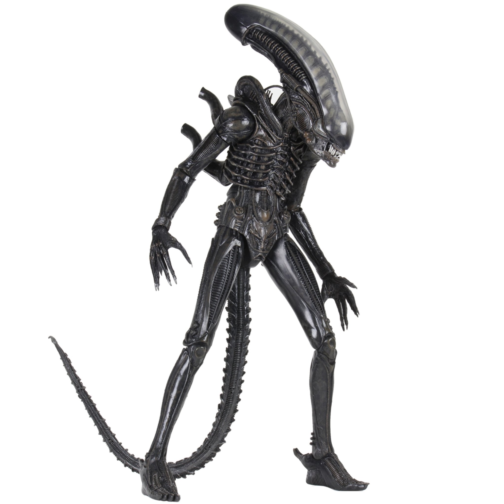 NECA Alien Ultimate 40th Anniversary Big Chap (1:4 Scale) (Re-Issue)、mySite、hgirdovlk
