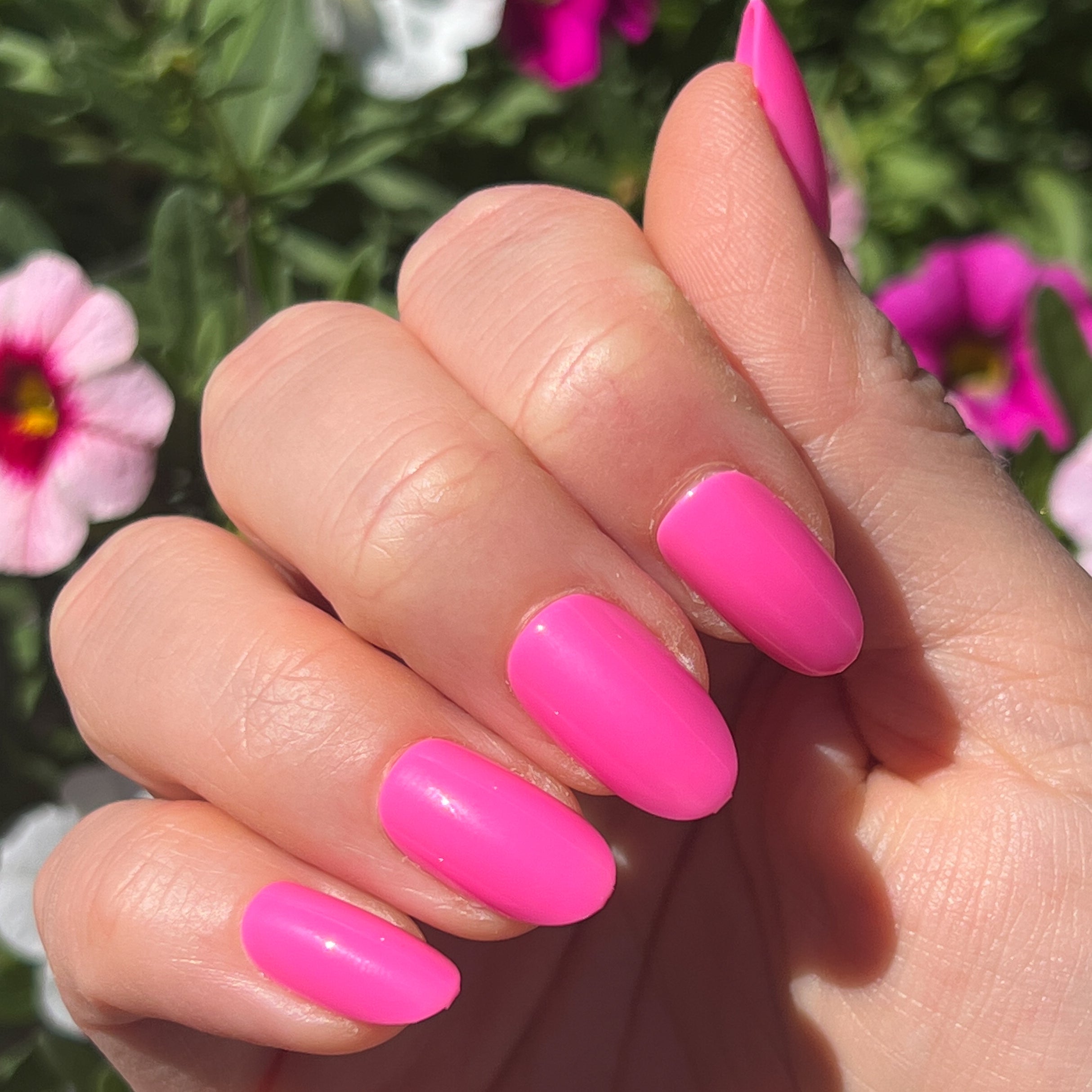 Neon Flamingo | Oval | Medium、mySite、solidvoid