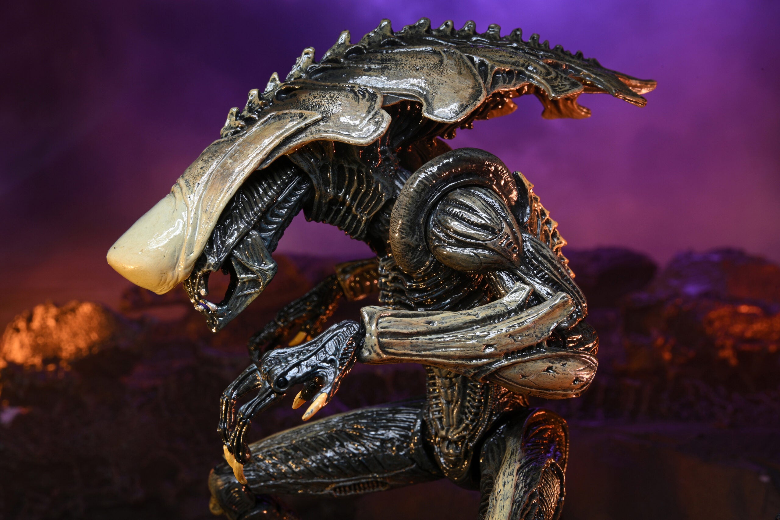 NECA Alien vs. Predator Chrysalis (Movie Deco)、mySite、hgirdovlk