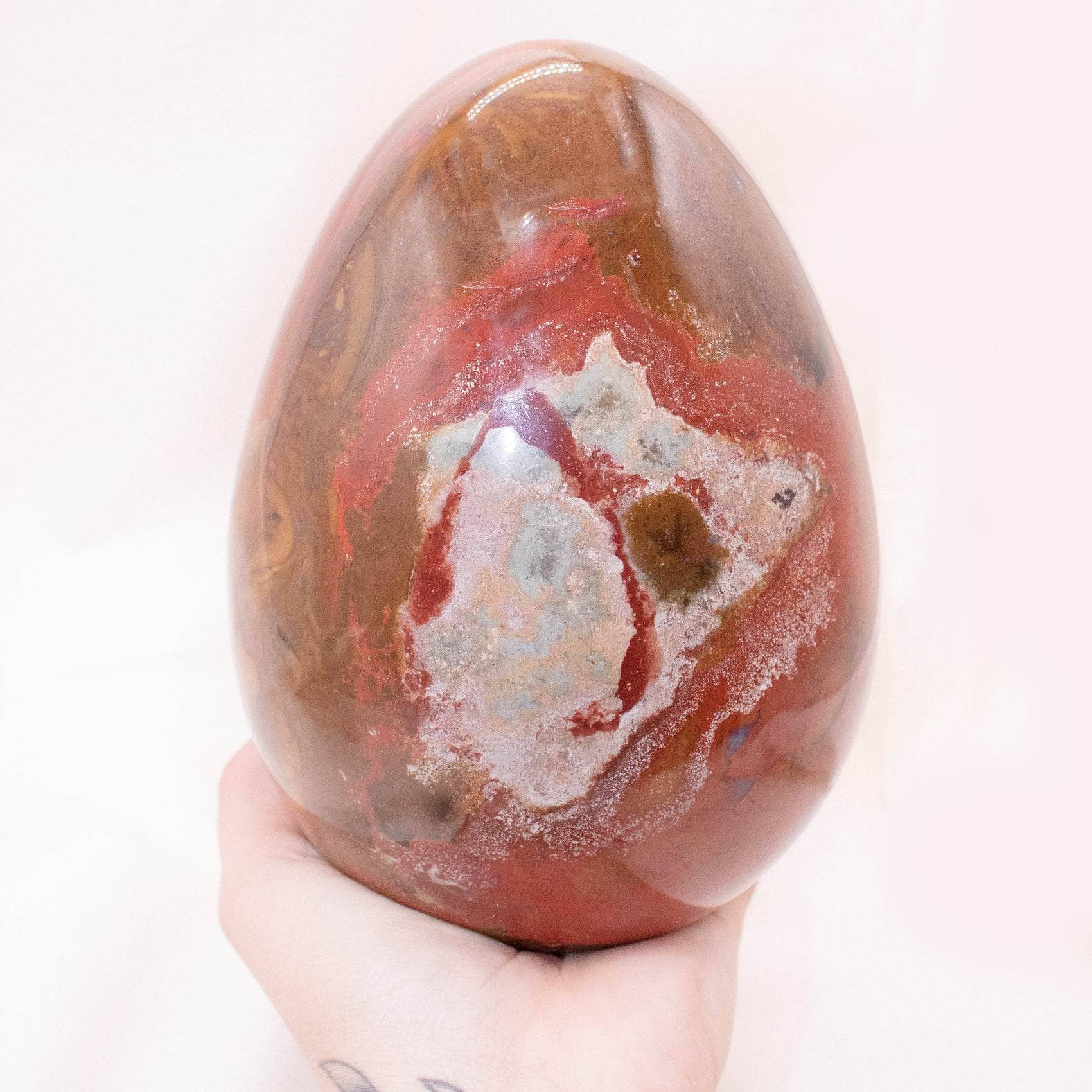 Petrified Wood Egg - AAA Premium Quality、mySite、hinf8tx79