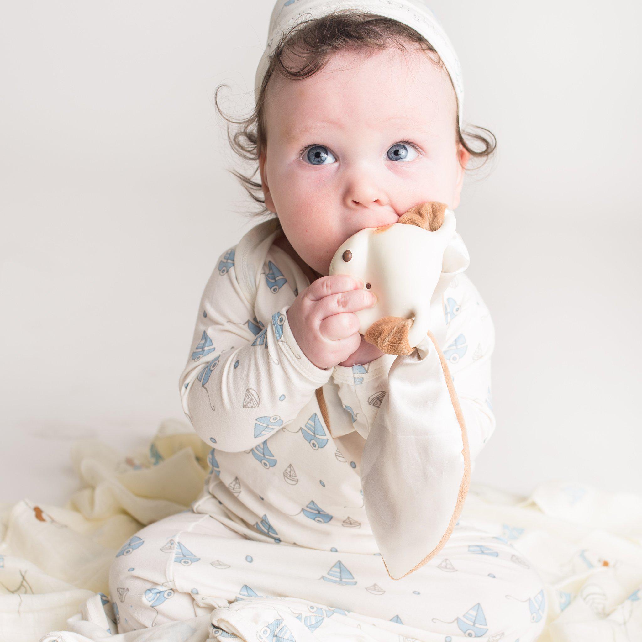 RETIRED - Skipit Puppy Ear-resistible Teether、mySite、g9winljtr