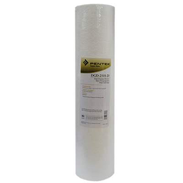 Pentair 20 BB Sediment Filter DGD-2501 #155360-43、mySite、noshort