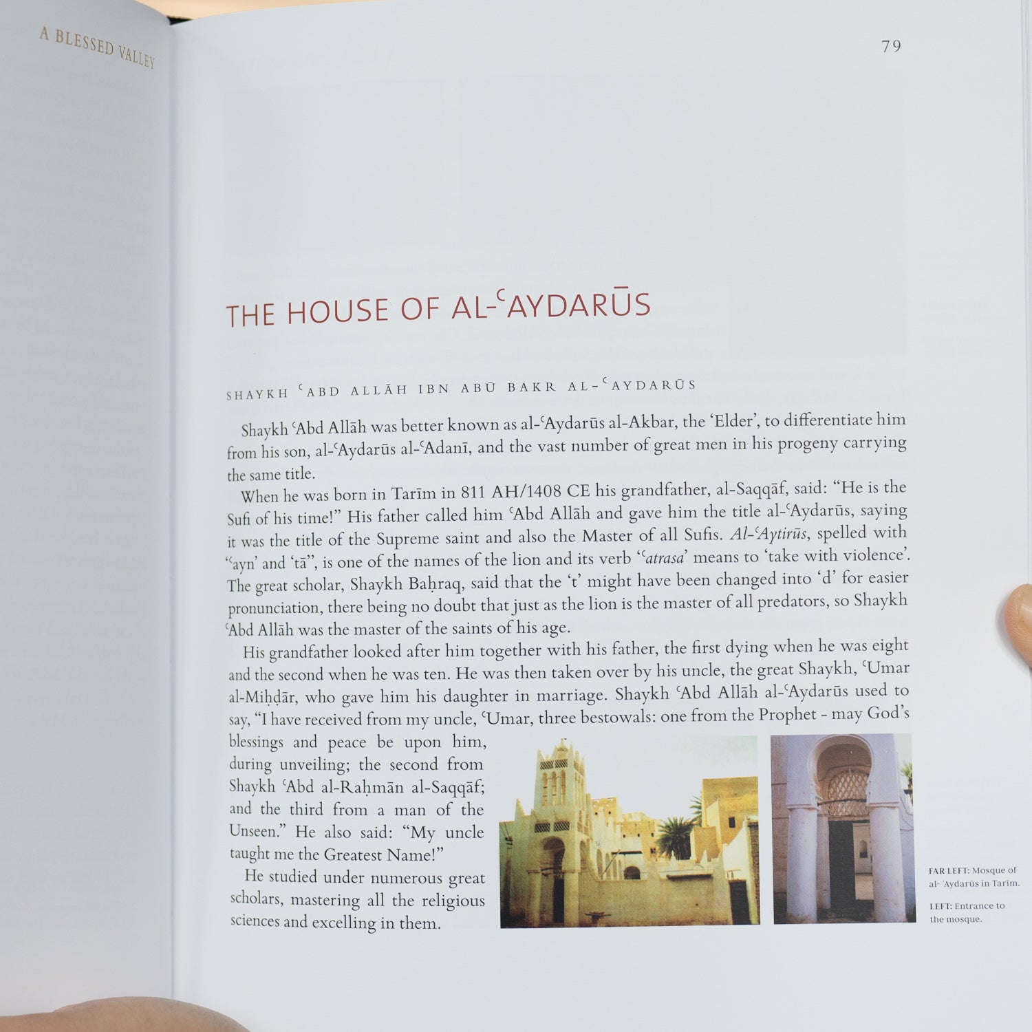 A Blessed Valley (2 vol. set)、mySite、topwebapps