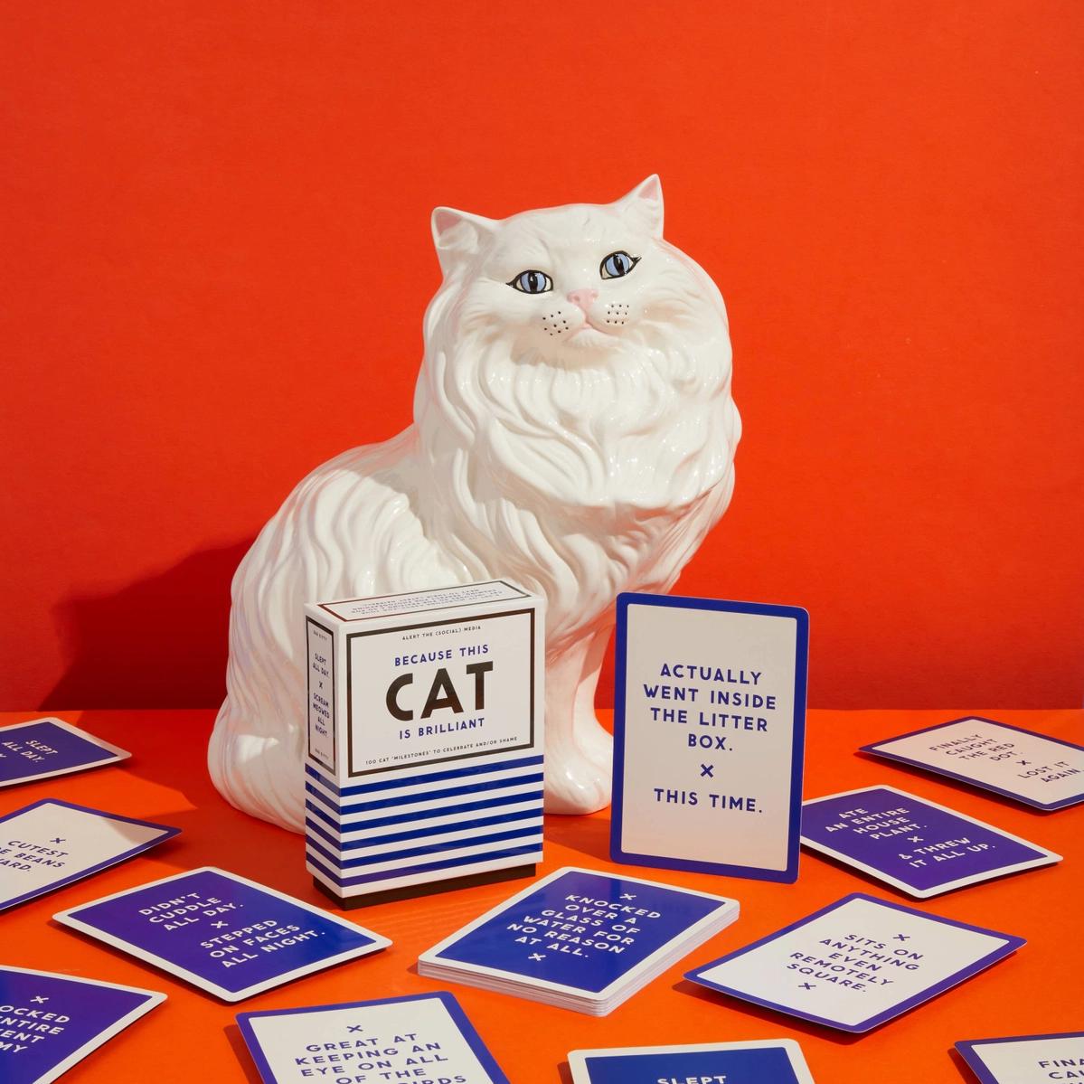 Brass Monkey Because This Cat Is Embarrassing - Pet Shame/Praise Deck、mySite、g9winljtr