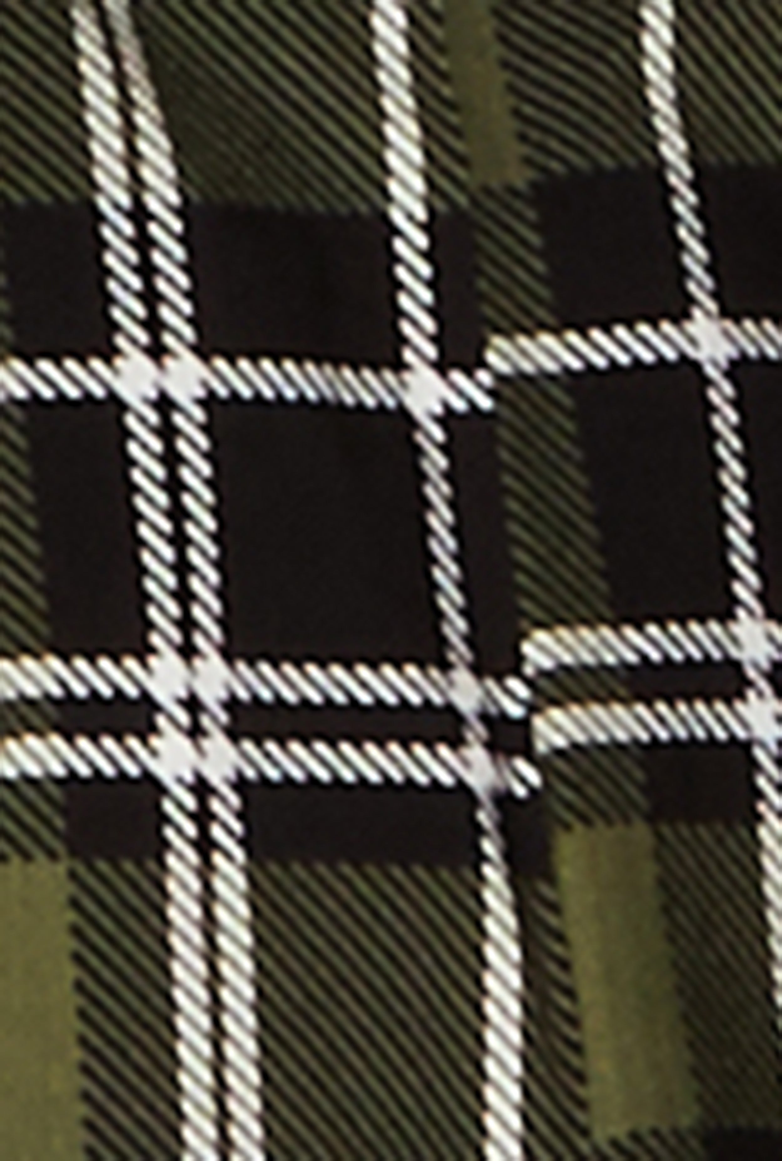 Plaid Double Buckle Pleated Skort、mySite、camillekostekn