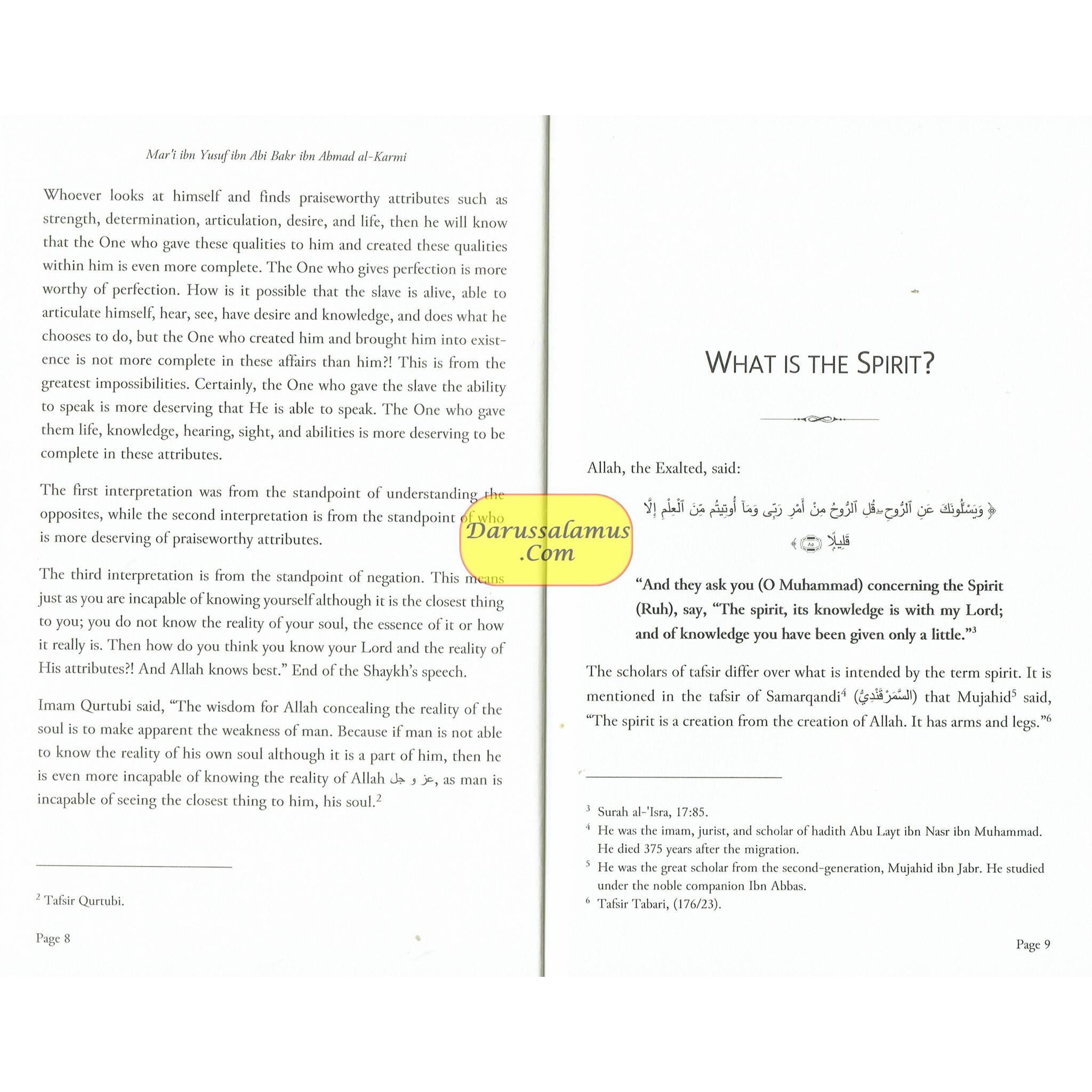 Wandering of Spirits and Souls by Shaykh Mart ibn Yusuf、mySite、topwebapps