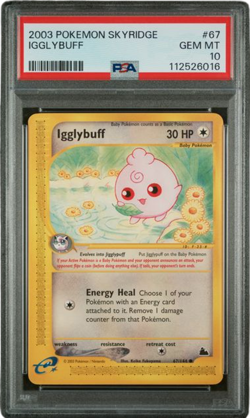 PSA 10 IGGLYBUFF SKYRIDGE、mySite、waistdrama