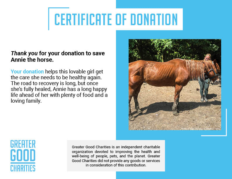 Support Annie as She Recovers From Malnourishment、mySite、camillekostekn