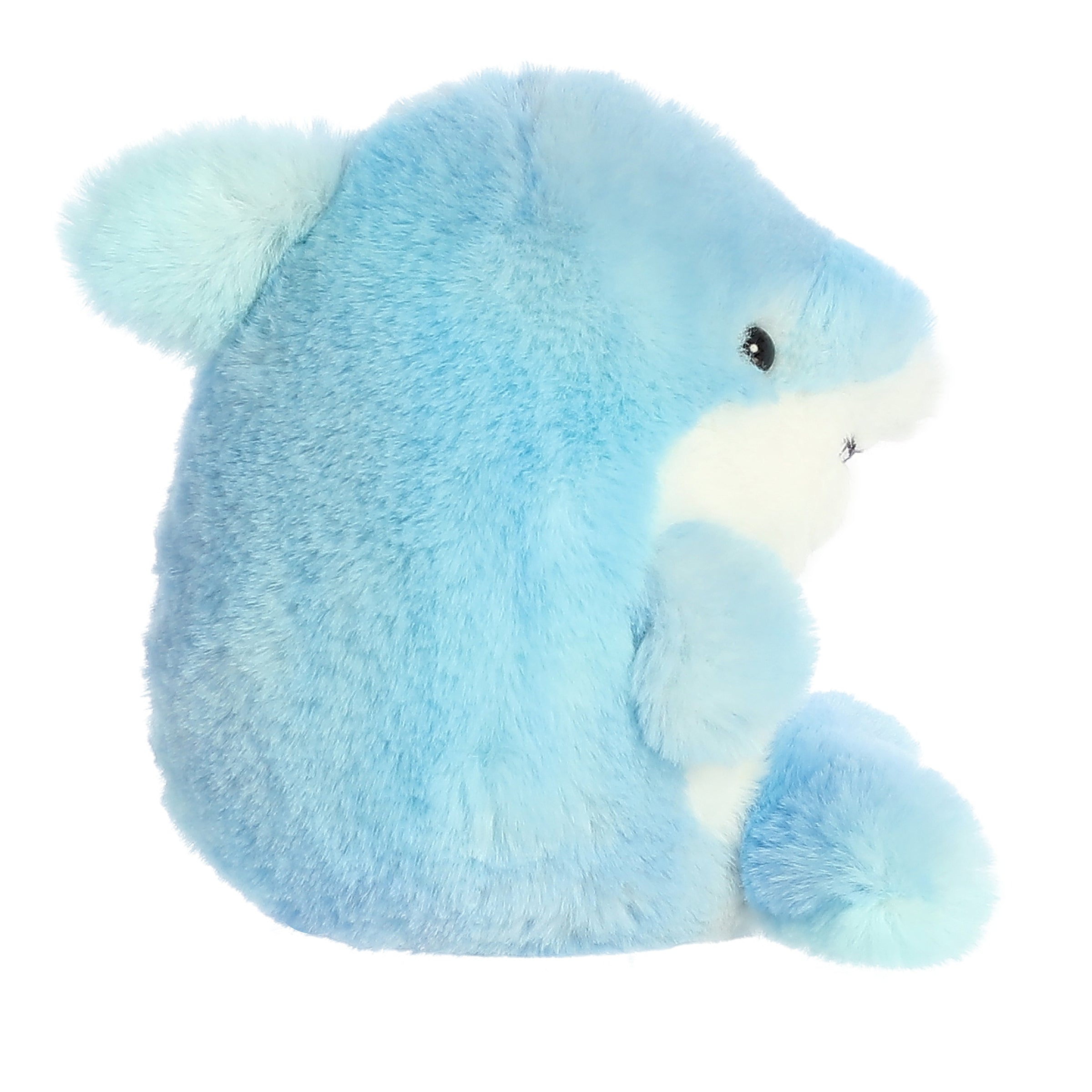 Aurora® - Rolly Pet™ - 5 Sutton Shark™、mySite、g9winljtr