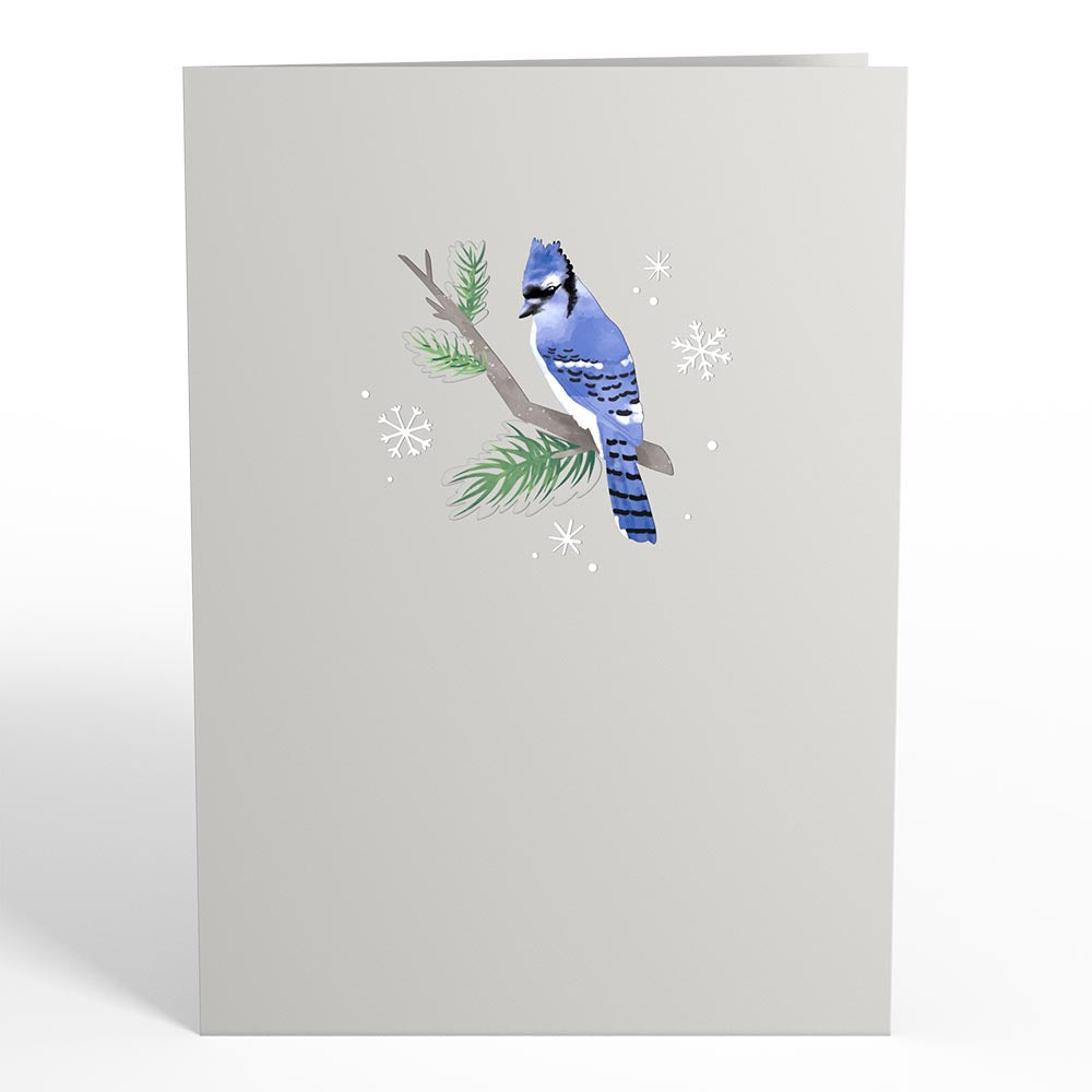 Winter Blue Jay Pop-Up Card、mySite、solidvoid