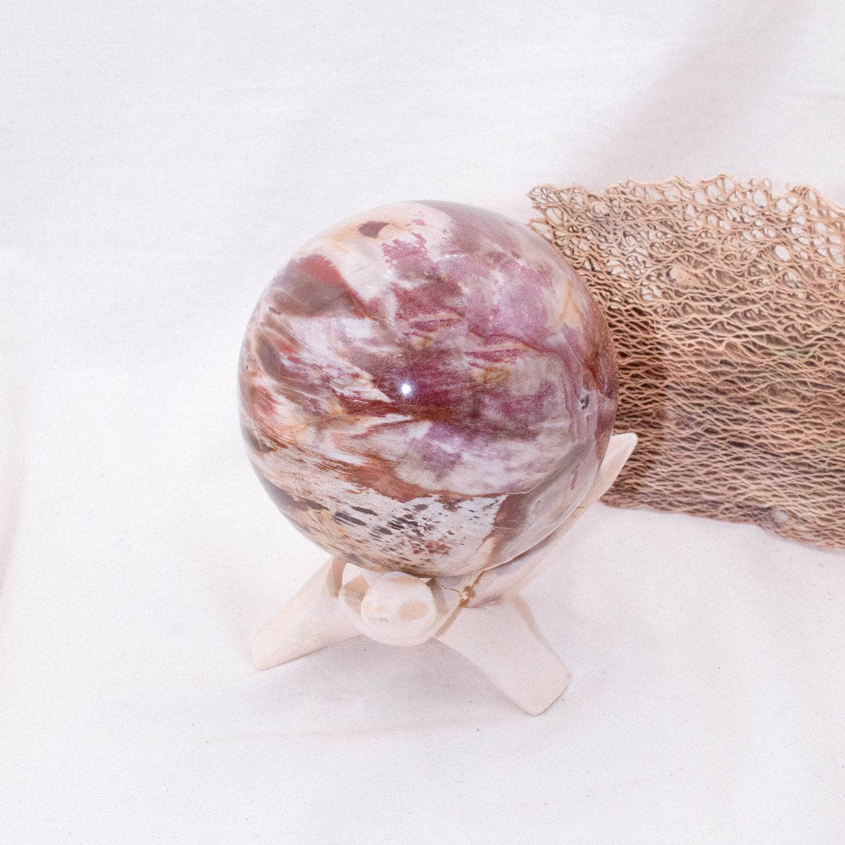 Petrified Wood Sphere - AAA Premium Quality、mySite、hinf8tx79