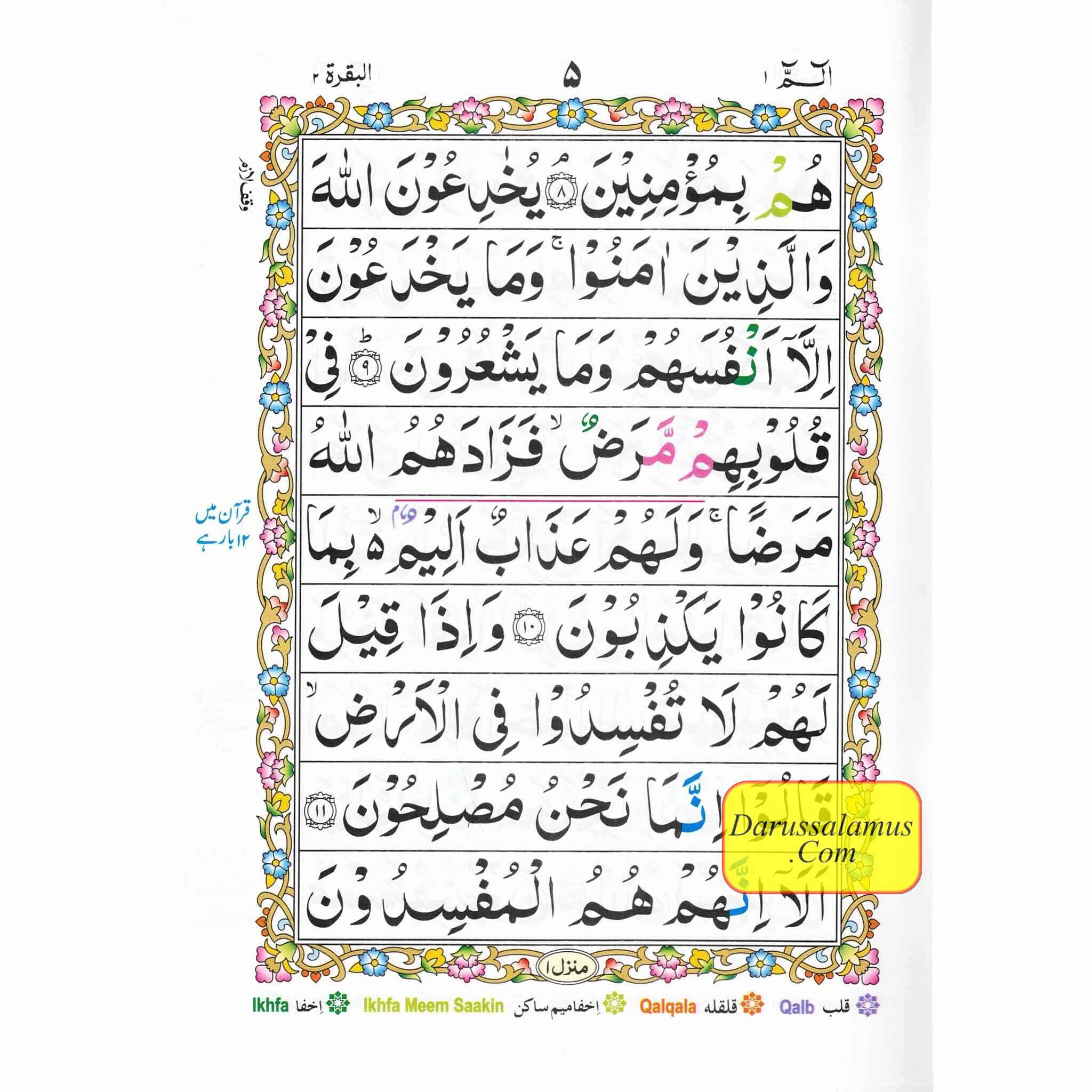 Alif Laam Meem Colour Coded Tajweed Rules : Persian ,Pakistani ,Indian Script,Ref 401、mySite、topwebapps