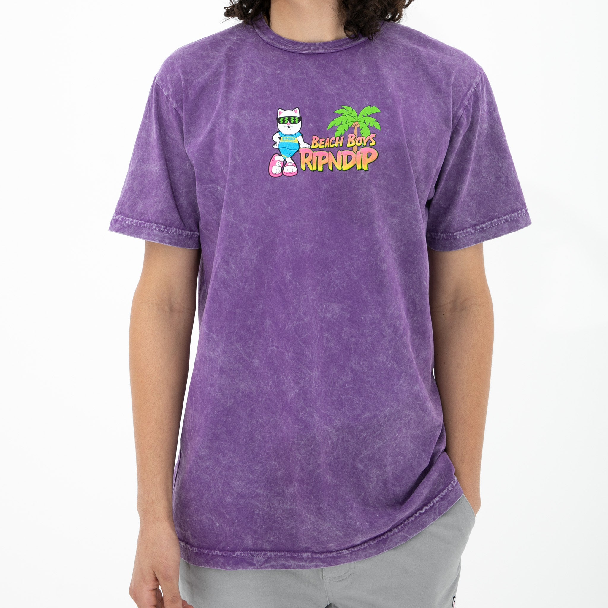  Beach Boys Tee (Purple Mineral Wash)、mySite、merchandisen