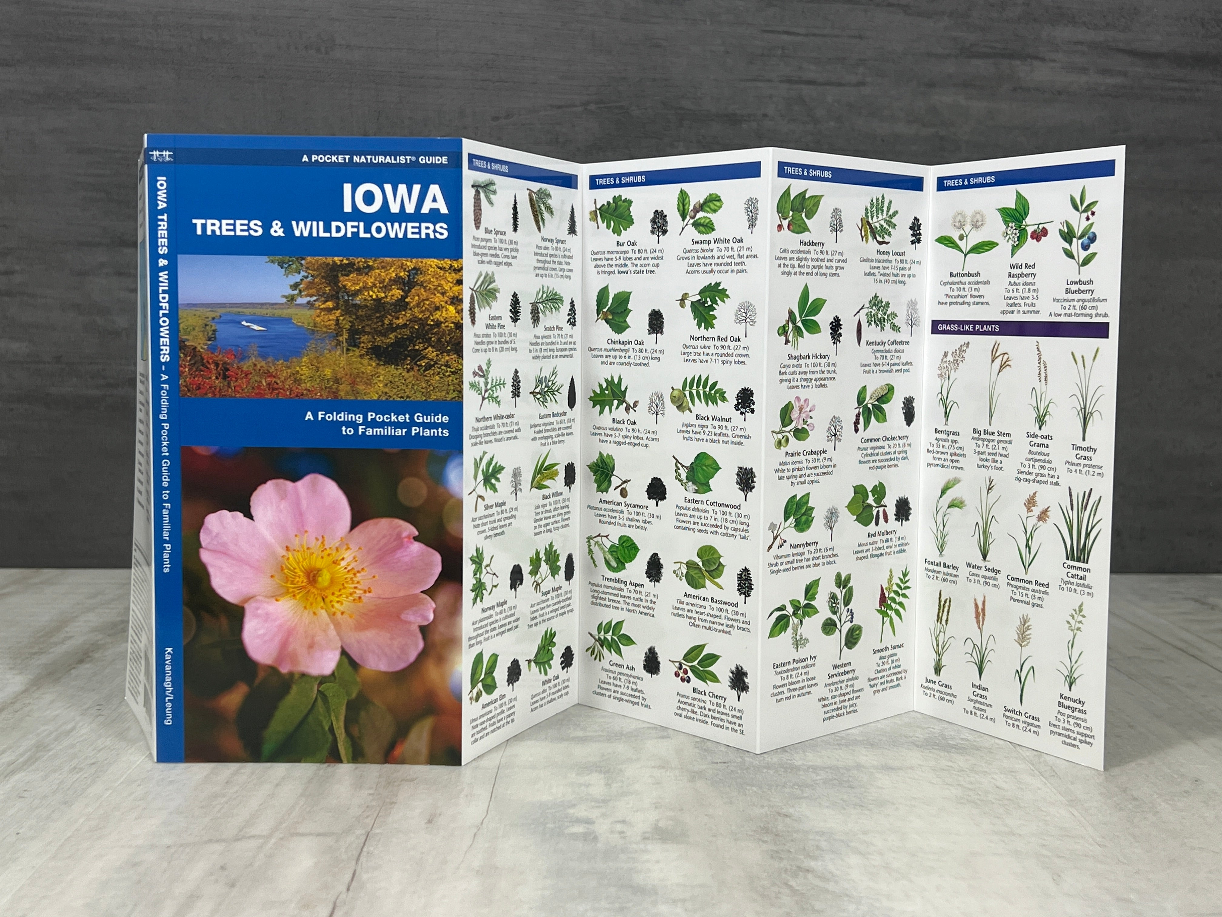 Iowa Nature Booklet、mySite、garagedoors4me