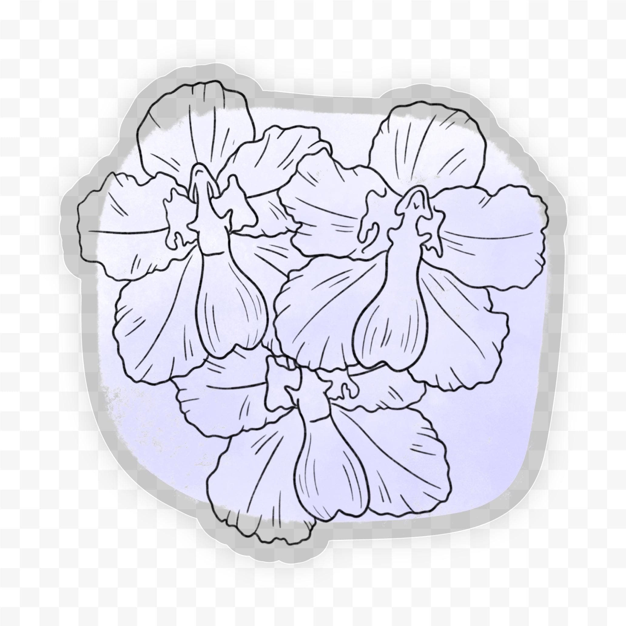  Moth Orchids Abstract - Clear Sticker、mySite、ghnorth