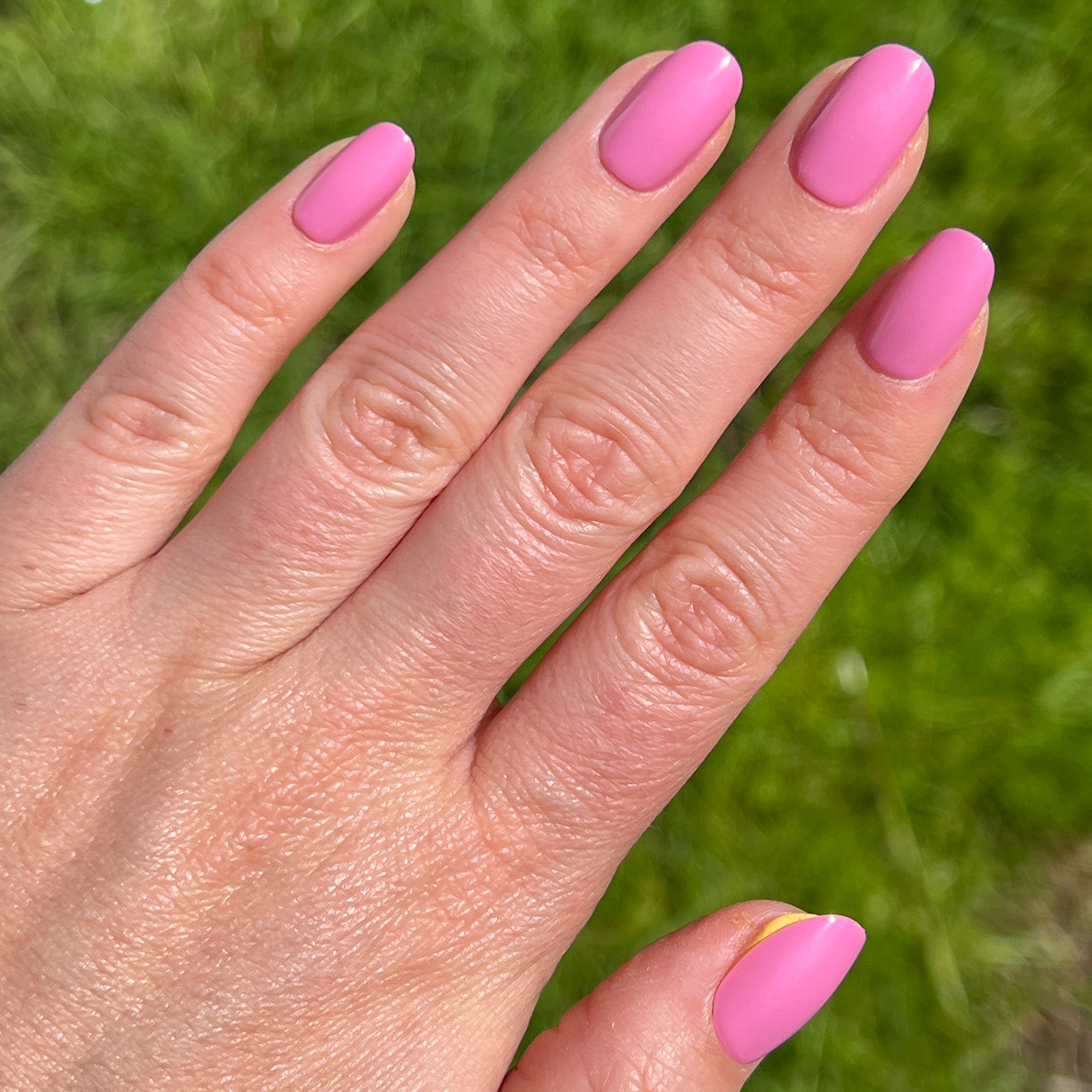 Grateful & Kind | Round | Short、mySite、solidvoid