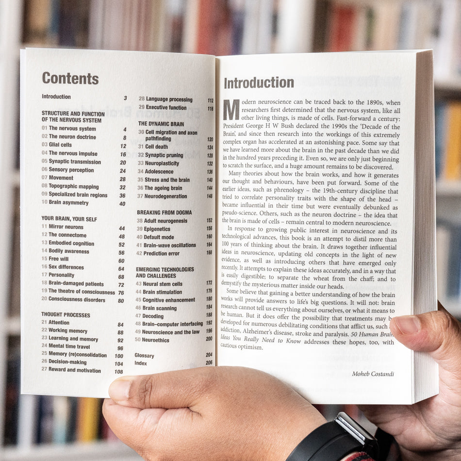 50 Human Brain Ideas You Really Need to Know、mySite、topwebapps