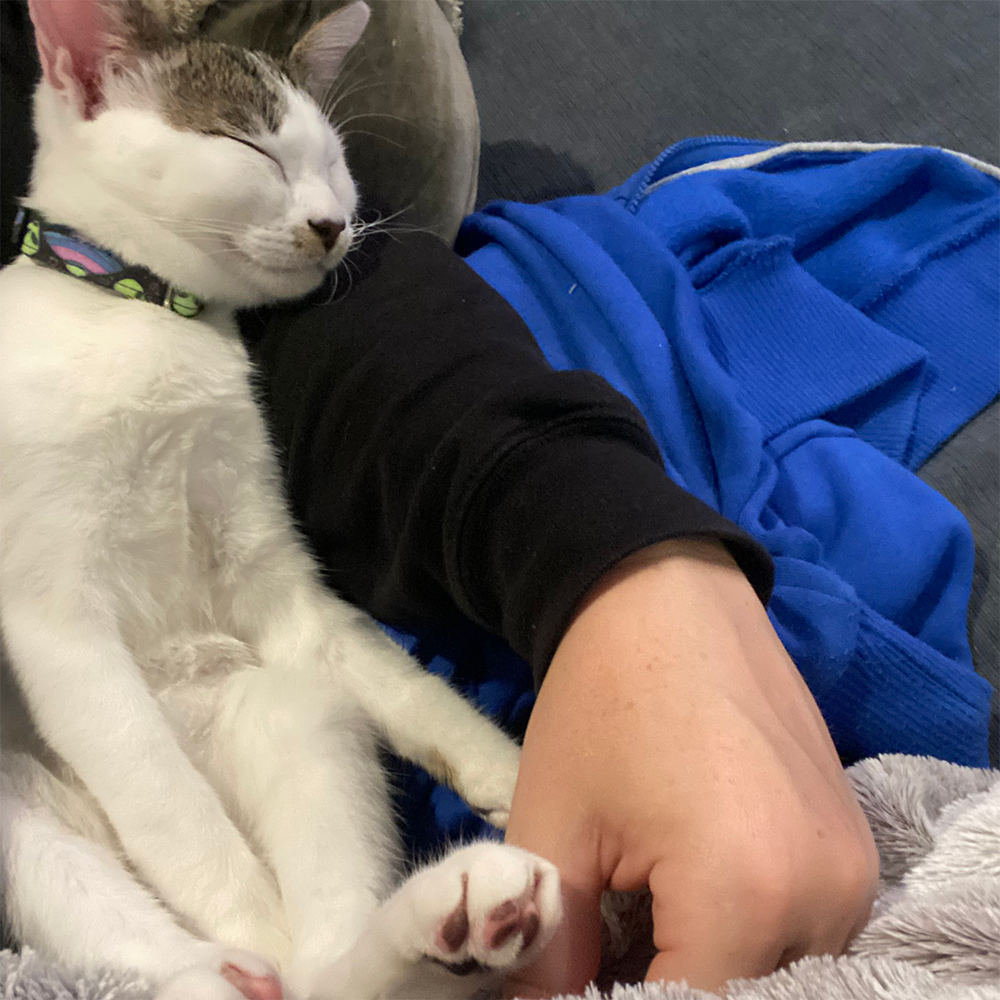 Funded: Benjamin Buttons Needs Emergency Surgery to Repair Damaged Tissue、mySite、camillekostekn