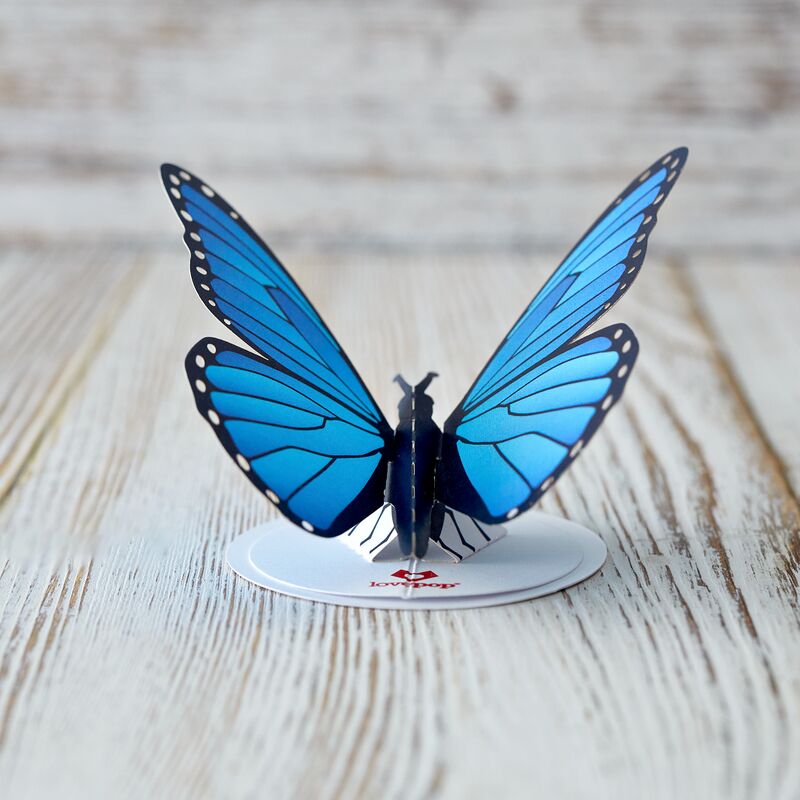 Stickerpop™: Blue Morpho Butterfly (1-Pack)、mySite、solidvoid
