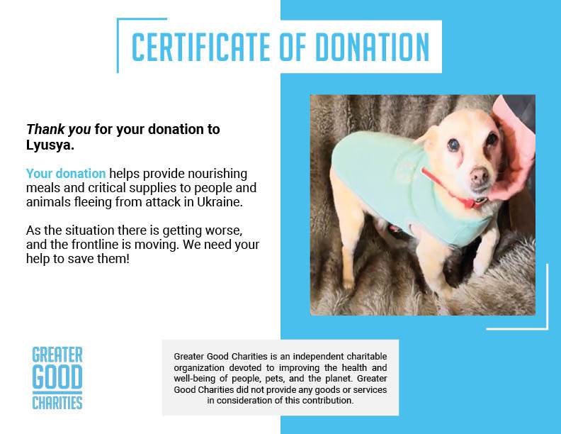 Funded: Little Lyusya Needs Your Help To Beat Cancer、mySite、camillekostekn