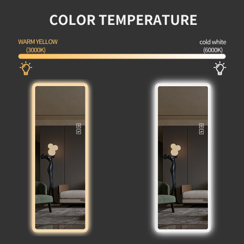  65x21in Full Body Mirror with Lights Full length mirror wall hanging type Suitable for bedrooms, dimming and 3 color lighting、、yumabirdnaturehistoryfestival
