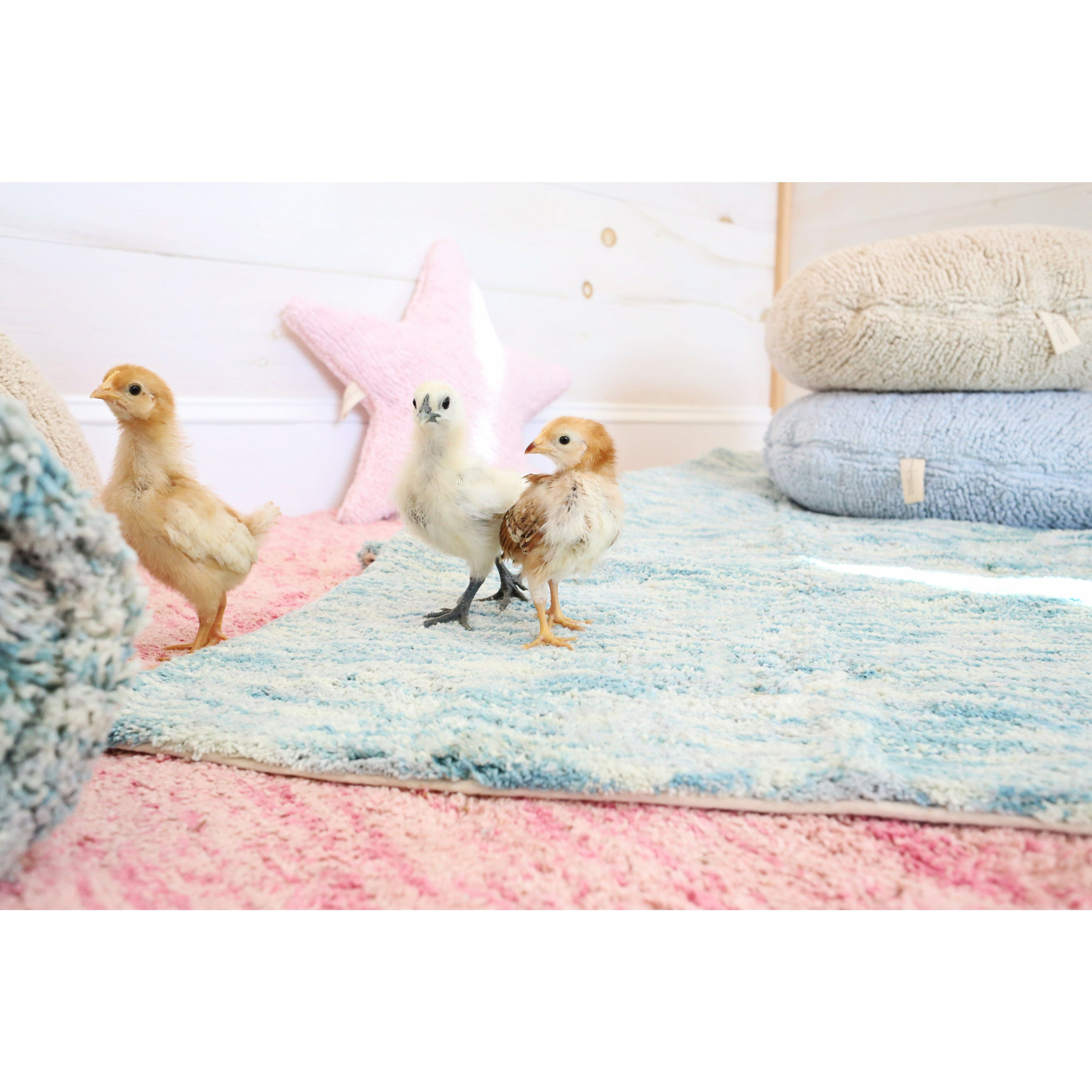 Star Pink Cushion、mySite、gigharbornorthrealestate