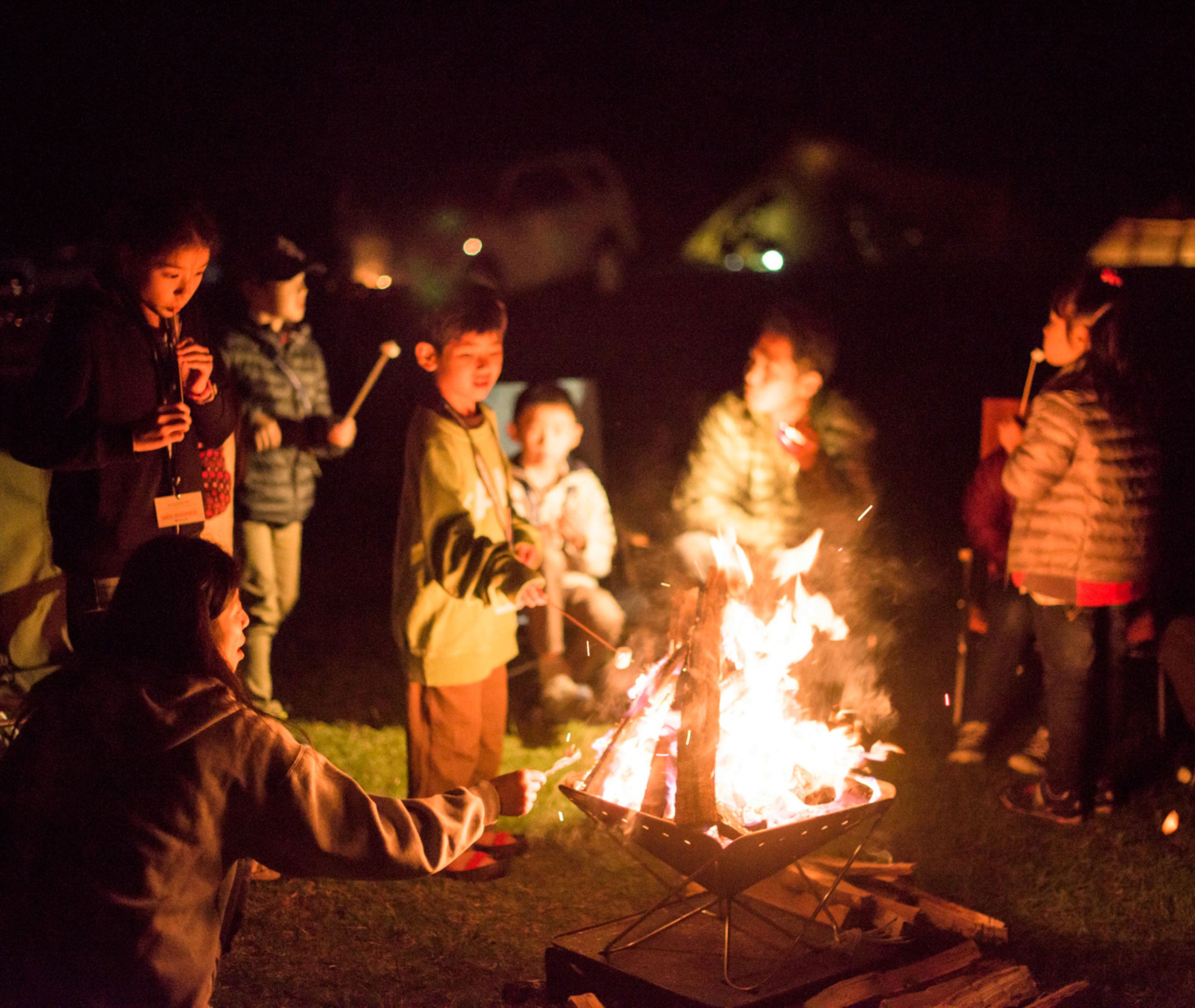 Pack & Carry Fireplace - Large、mySite、topwebapps