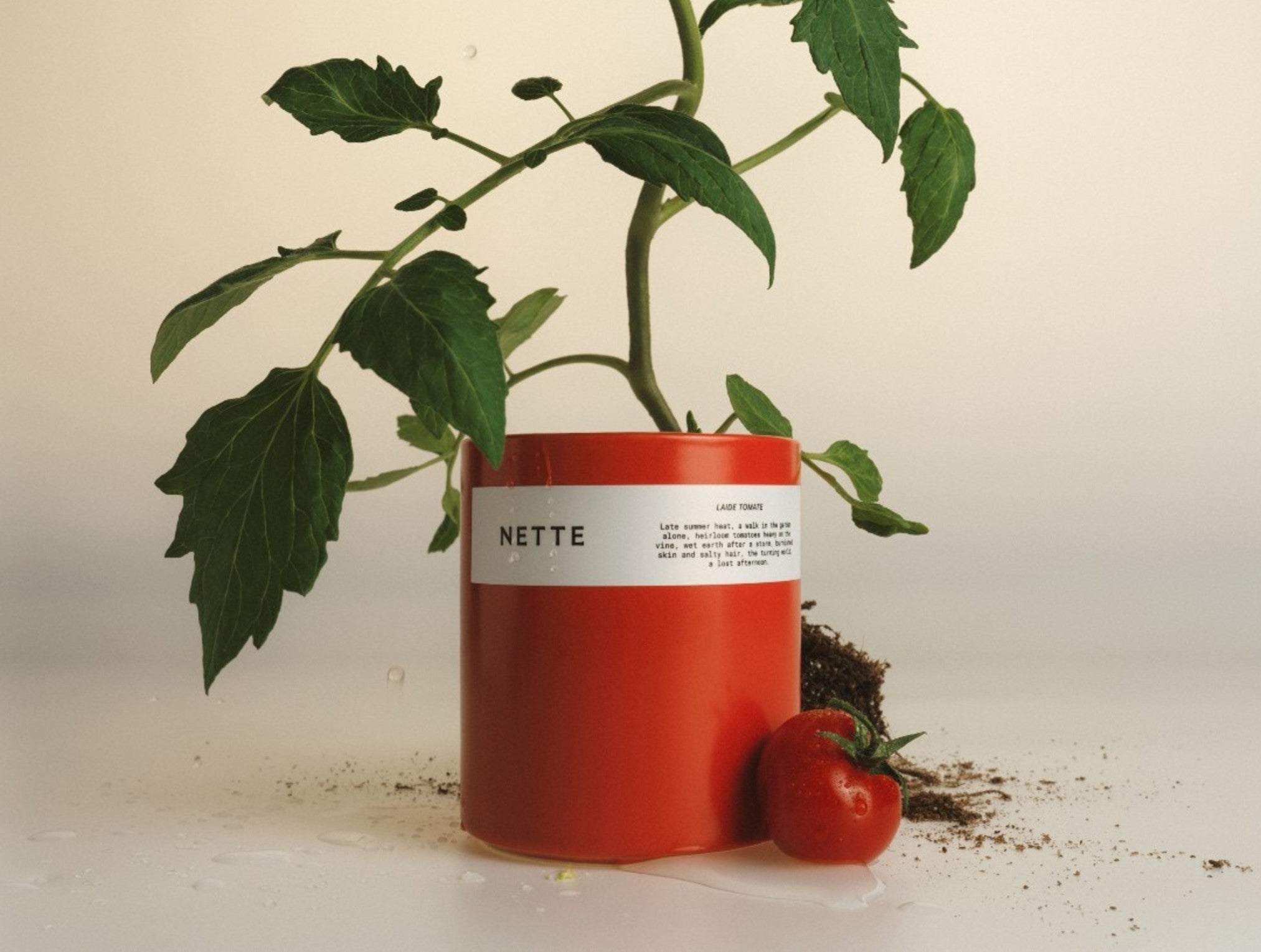  Nette Laide Tomate Glass Candle 10 oz.、mySite、sugarbowlscore