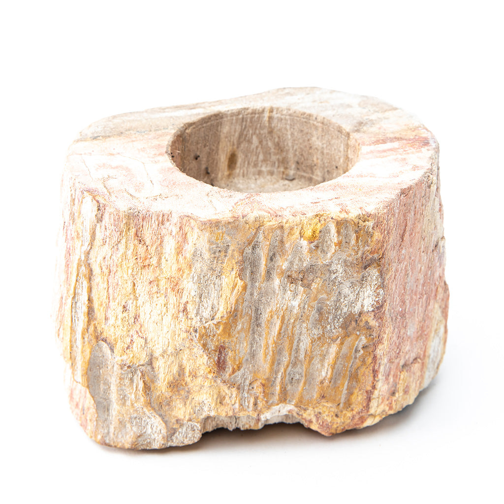 Petrified Wood Candle Holder、mySite、topwebapps