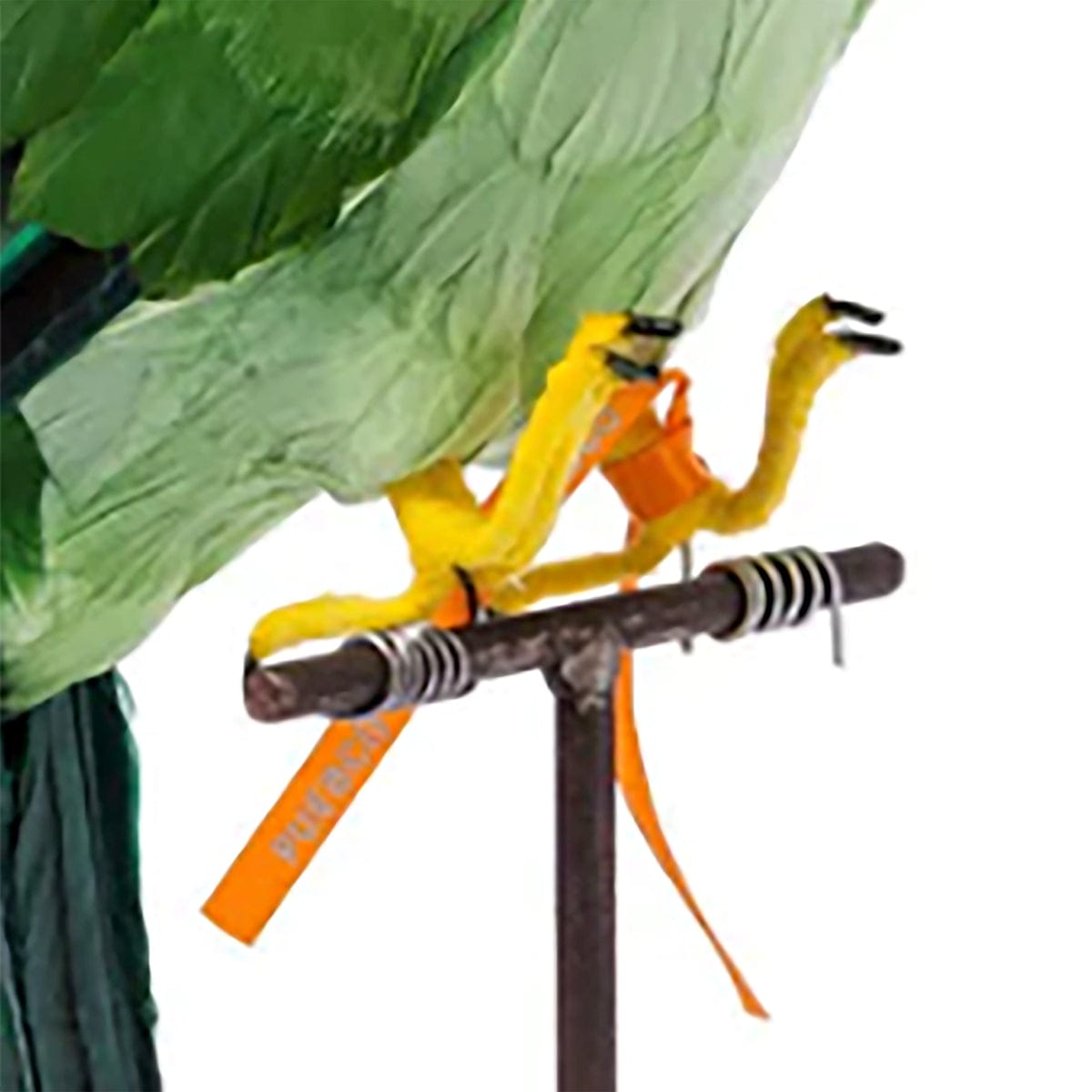ARTIFICIAL BIRDS: GREEN PARROT、mySite、zt4zffjzw