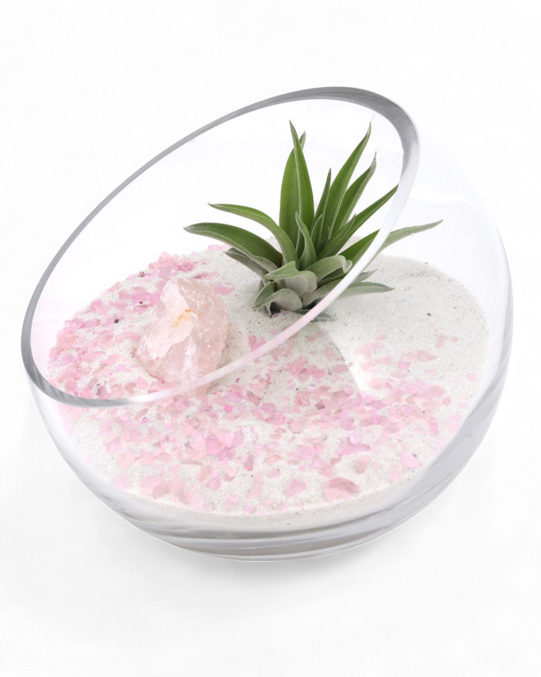 Rose Quartz Gemstone Crystal Terrarium、mySite、topwebapps
