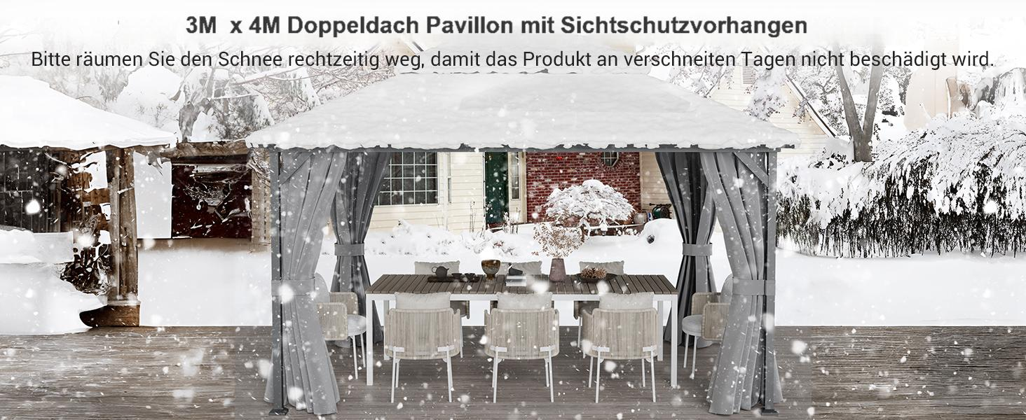 Pasted Image