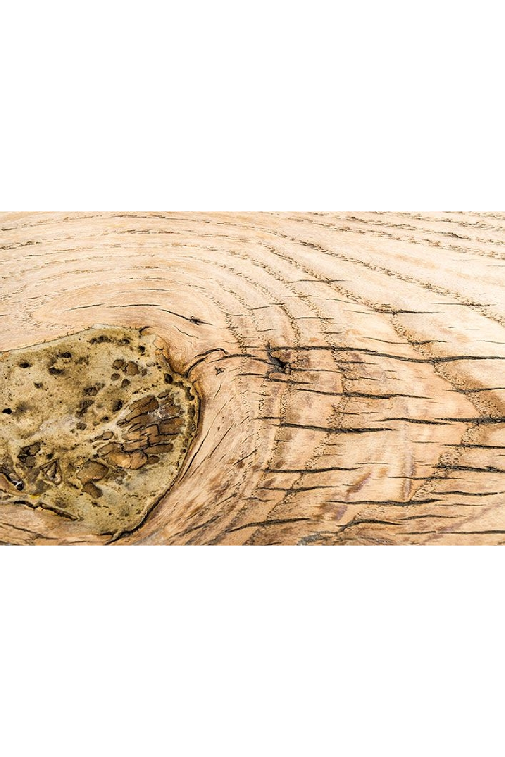 Rustic Wooden Bench | Versmissen、mySite、neckold