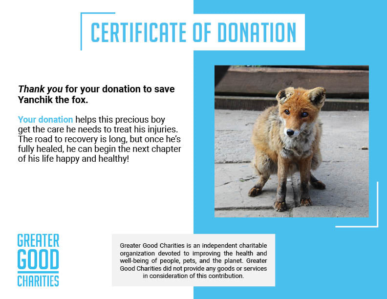 Funded: Yanchik the Fox Needs Nurturing、mySite、camillekostekn