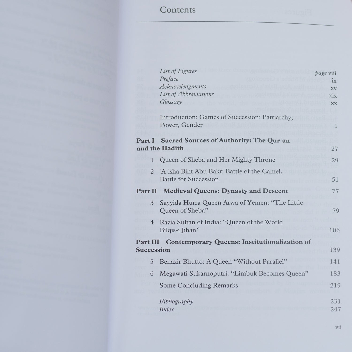 The Unforgettable Queens of Islam: Succession, Authority, Gender、mySite、topwebapps