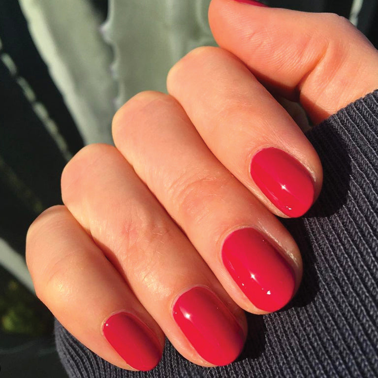 JG、mySite、solidvoid