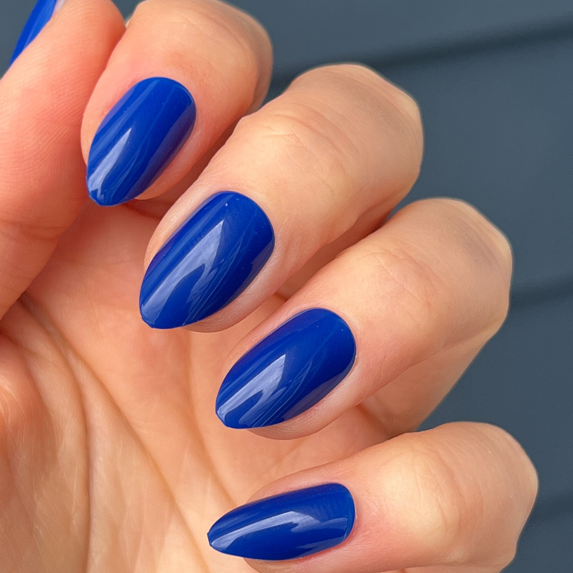 Blueberry Muffin | Almond | Medium、mySite、solidvoid