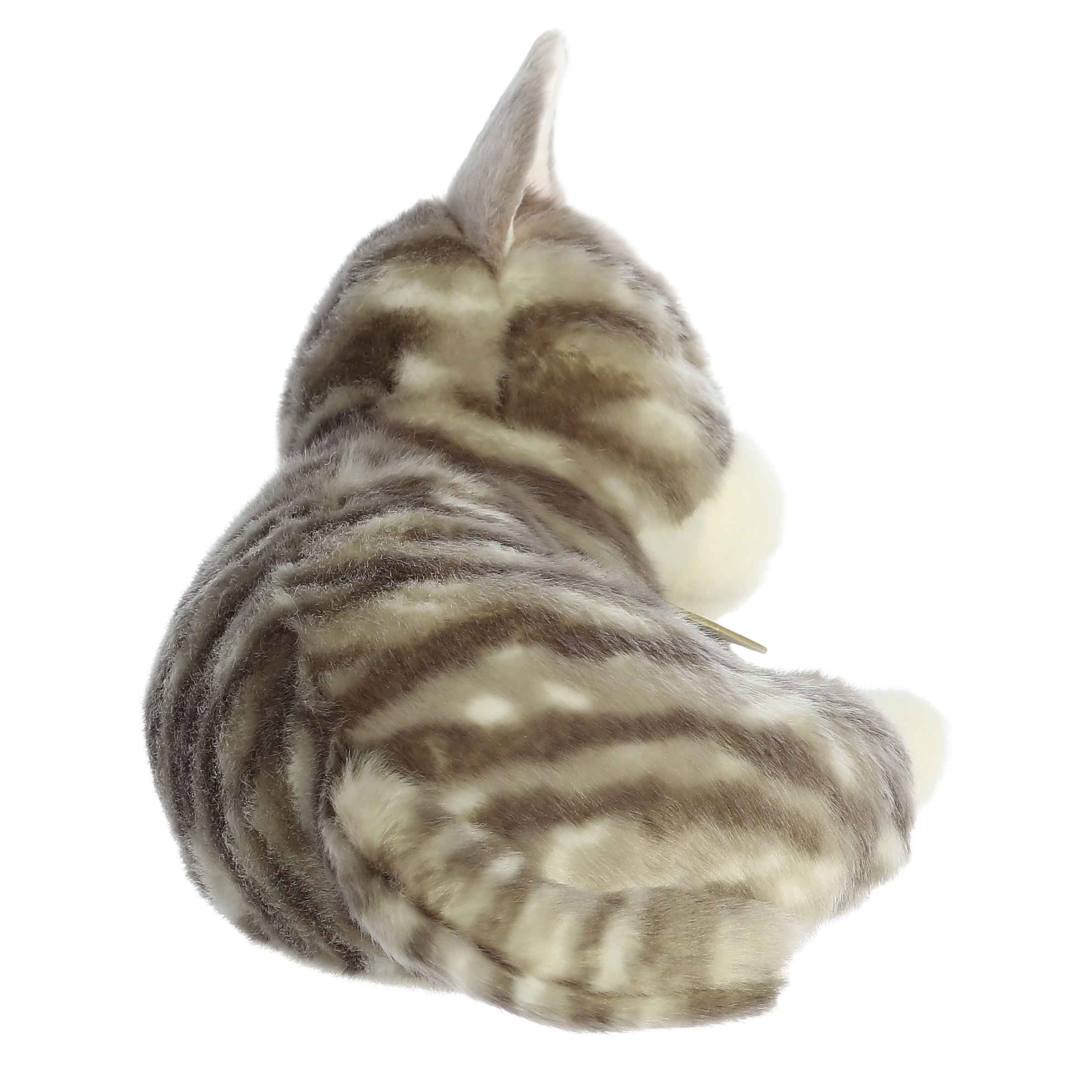 Aurora® - Miyoni® Tots - 10 Sleepy Tabby Kitten、mySite、g9winljtr