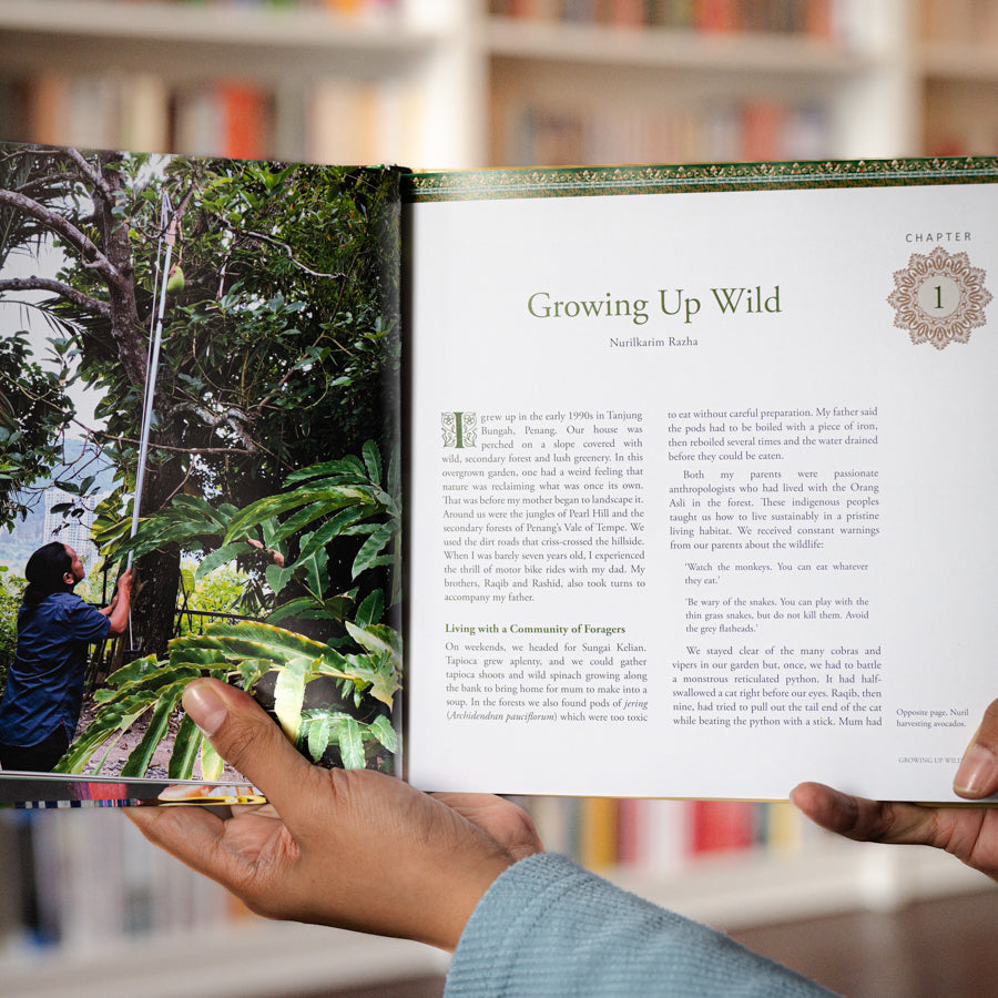 From Malay Garden to Table、mySite、topwebapps