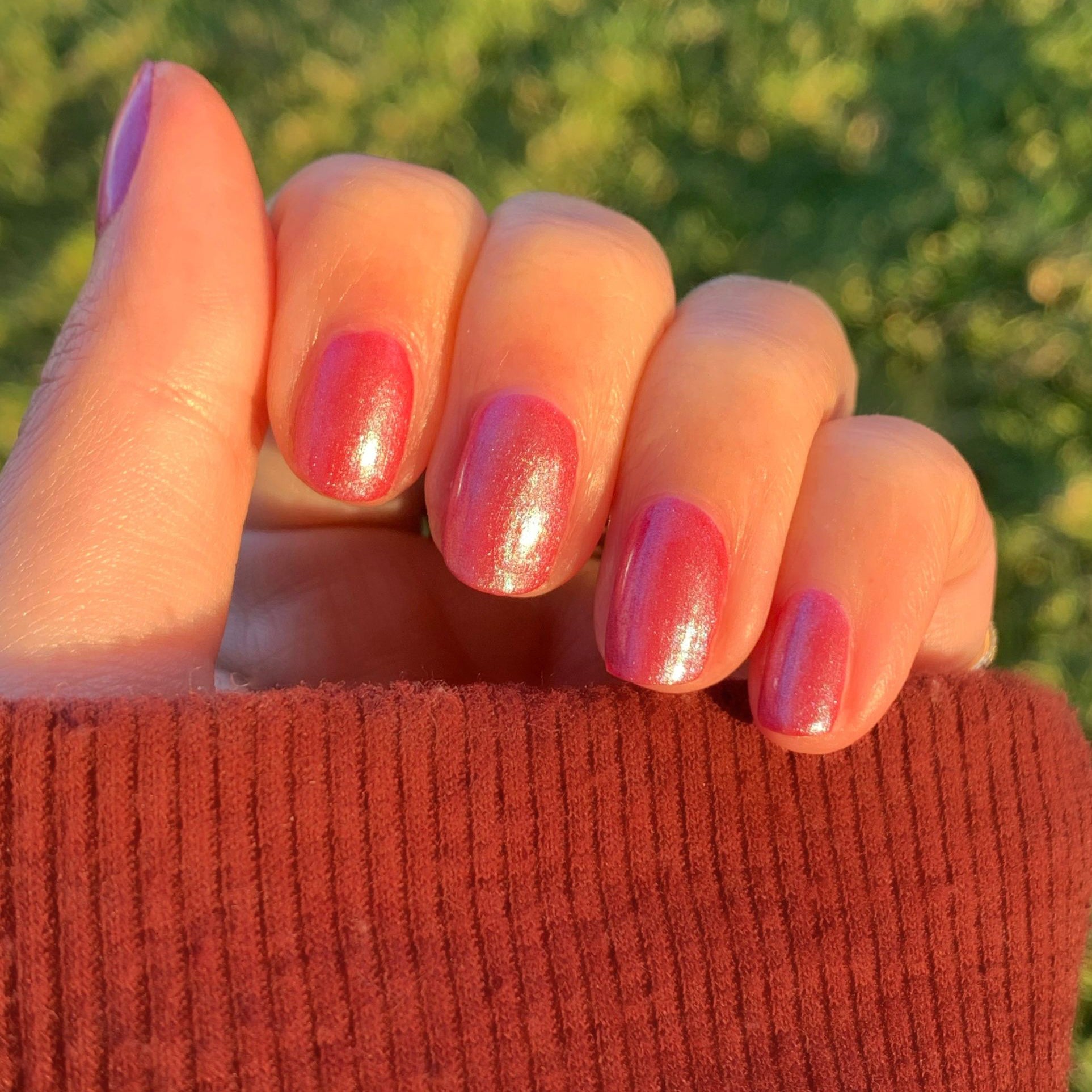 Frosted Berries Set、mySite、solidvoid