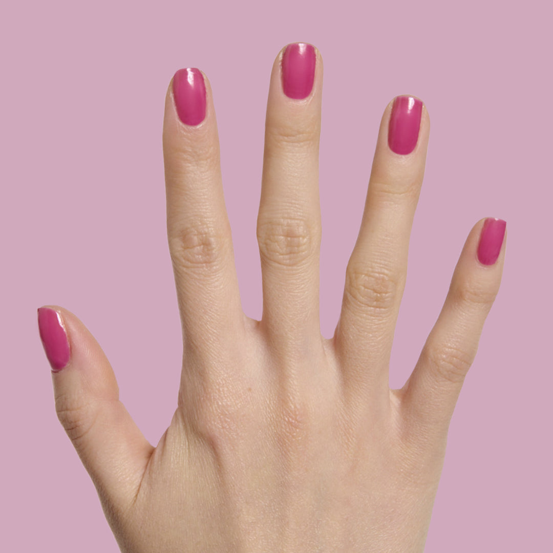 This Lettuce is Radicchio、mySite、solidvoid