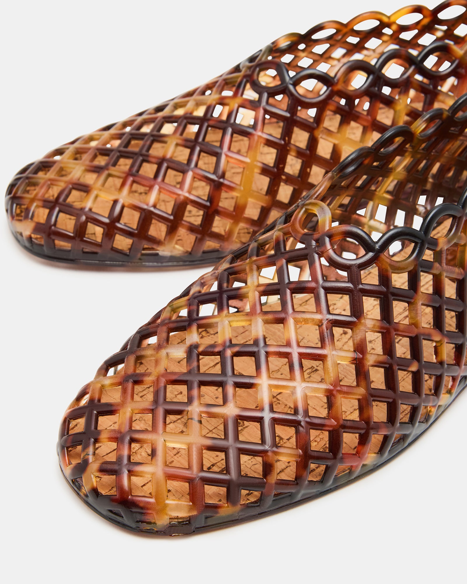 GROVE TORTOISE、mySite、gtrtttuynbv